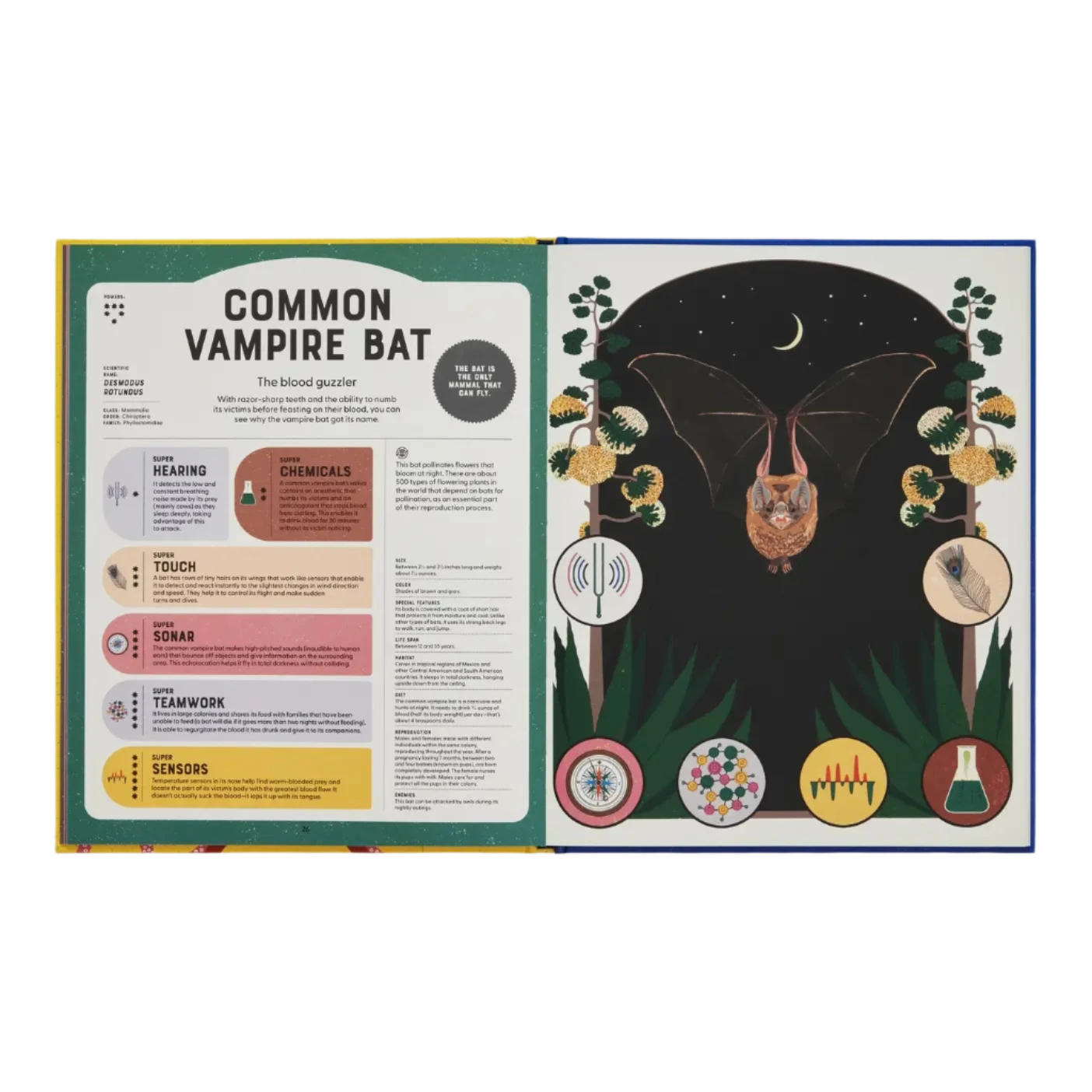 Superpowered Animals