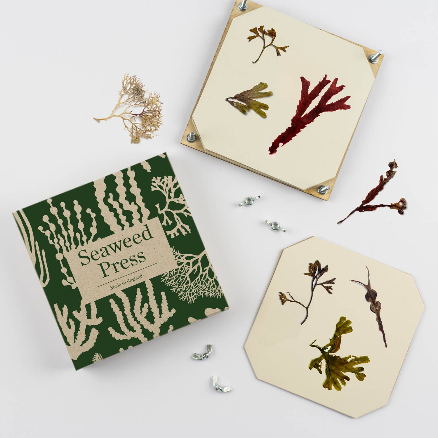 Seaweed Press - Craft Kit