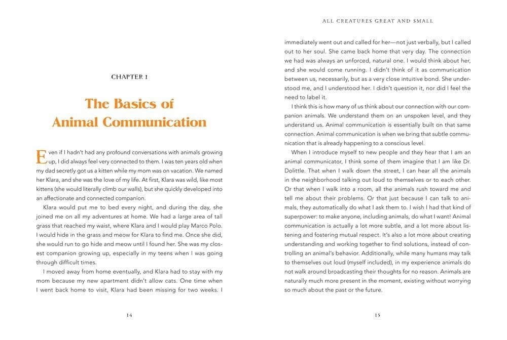 Animal Intuition: Communicating with Pets, Spirits & Energy