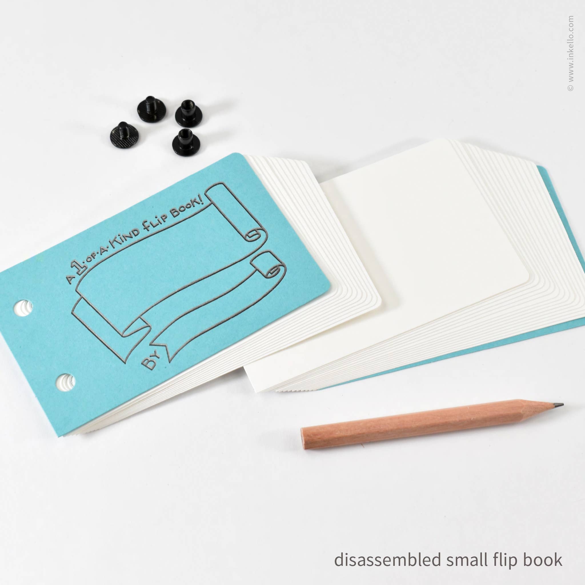 Blue Raspberry Draw-Your-Own Flip Book + Pencil