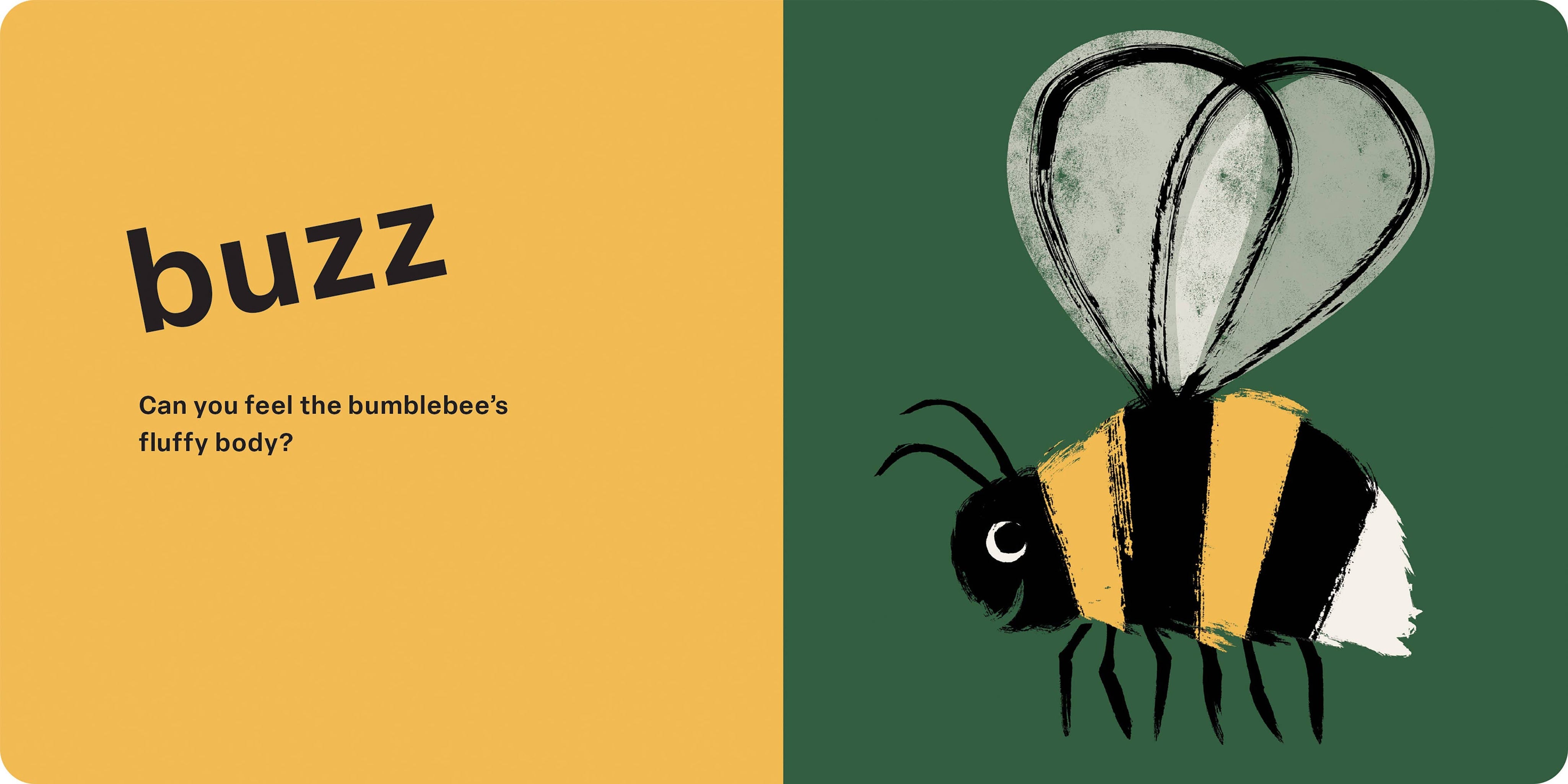 Bugs: Spring Street Touch and Feel