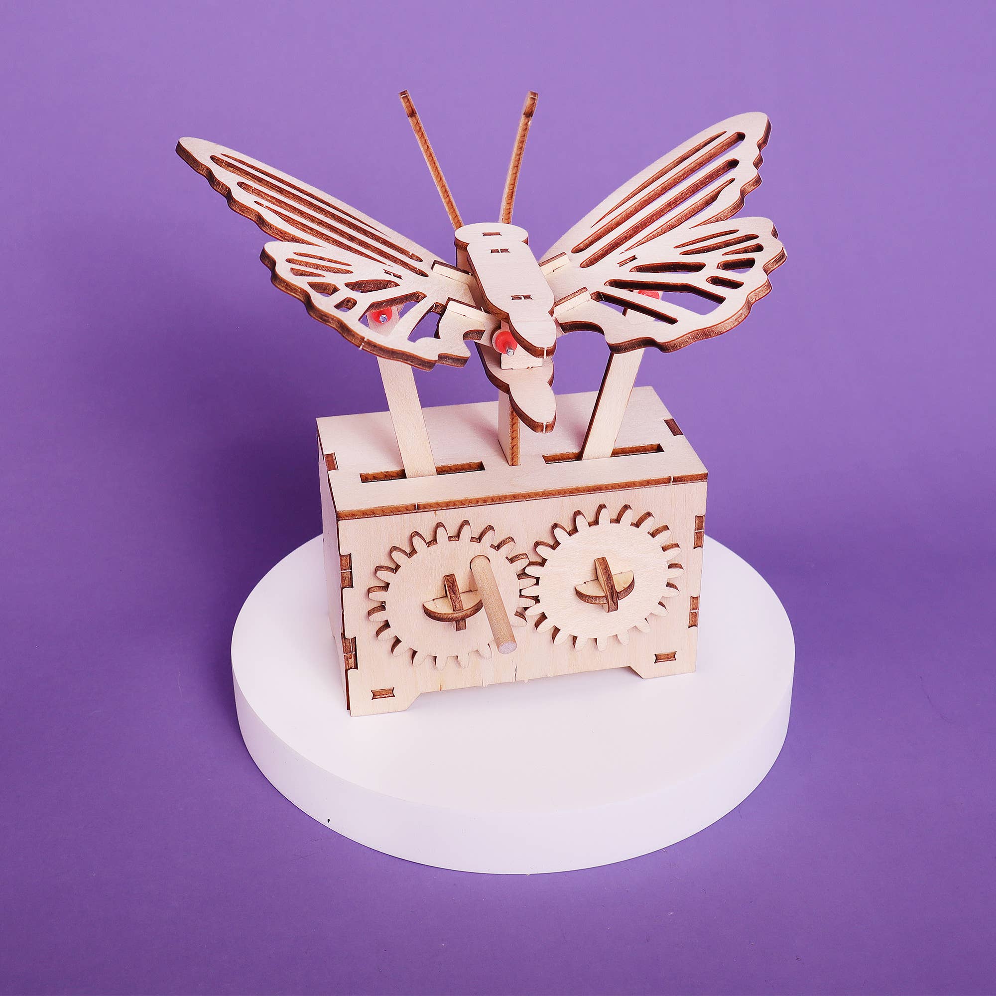 Fluttering Butterfly DIY Craft Kit