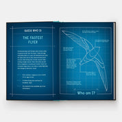 Book Of Flight: 10 Record-Breaking Animals With Wings