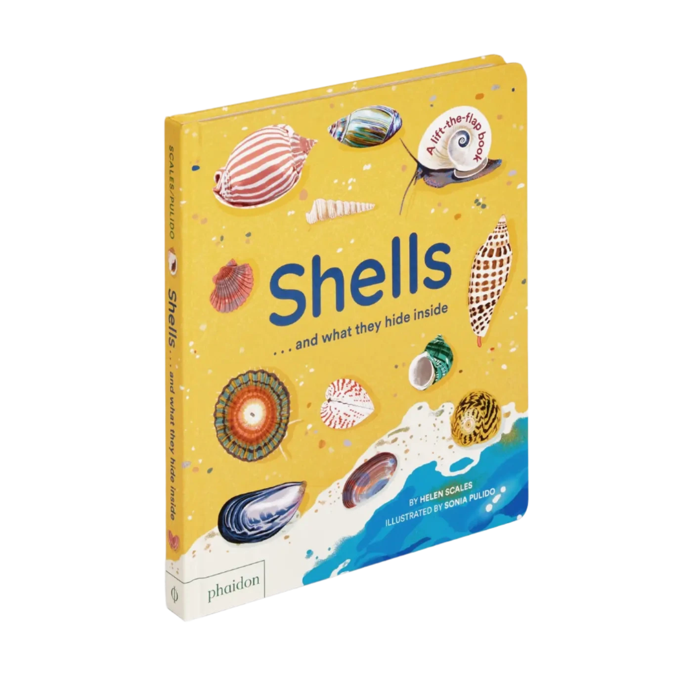 Shells... And What They Hide Inside