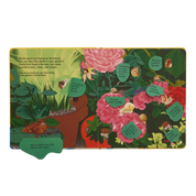 Shells... And What They Hide Inside