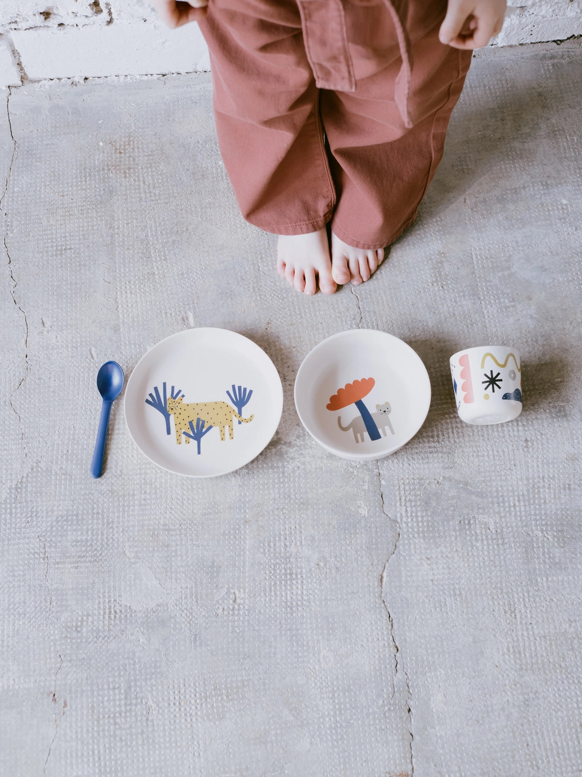 Leopard Illustrated Plate Set