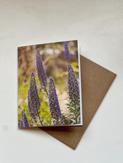 Montecito Purple, Greeting Card
