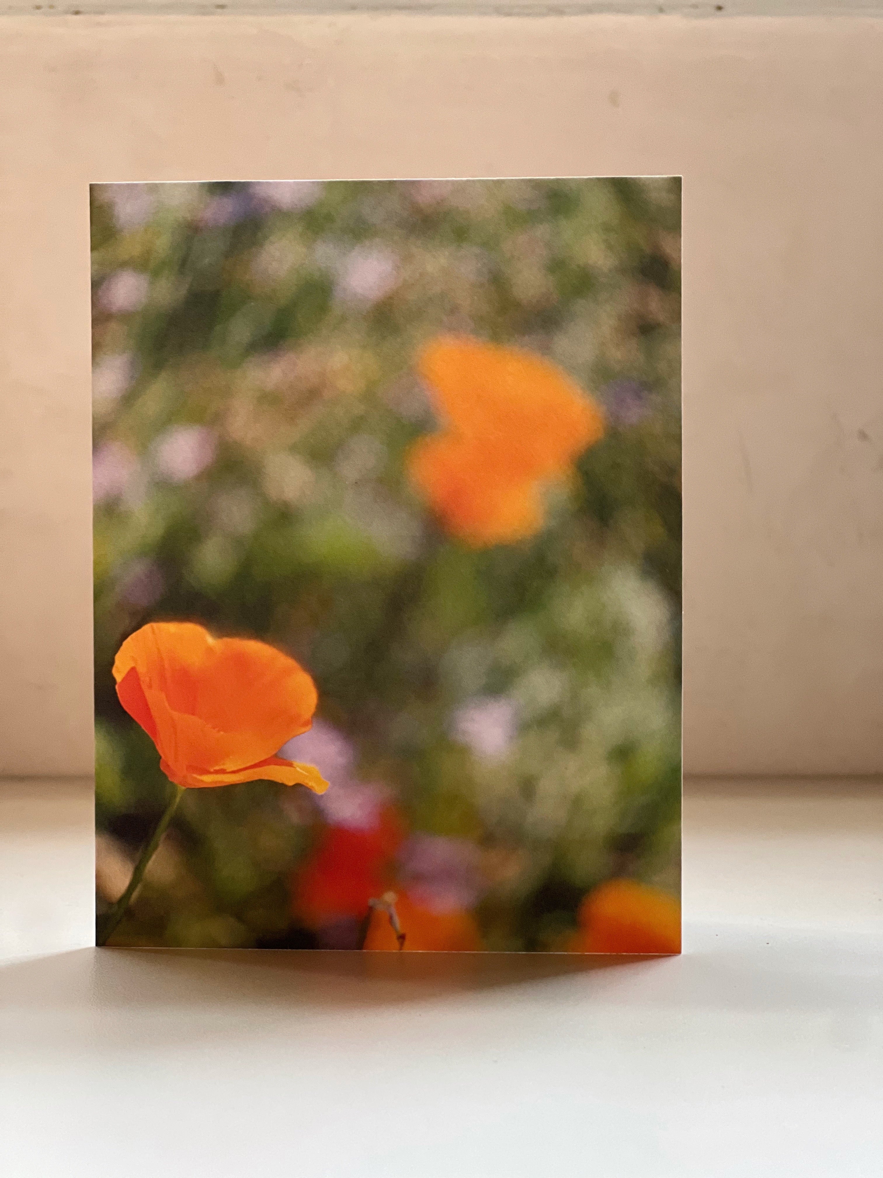 Poppy, no.1 Greeting Card