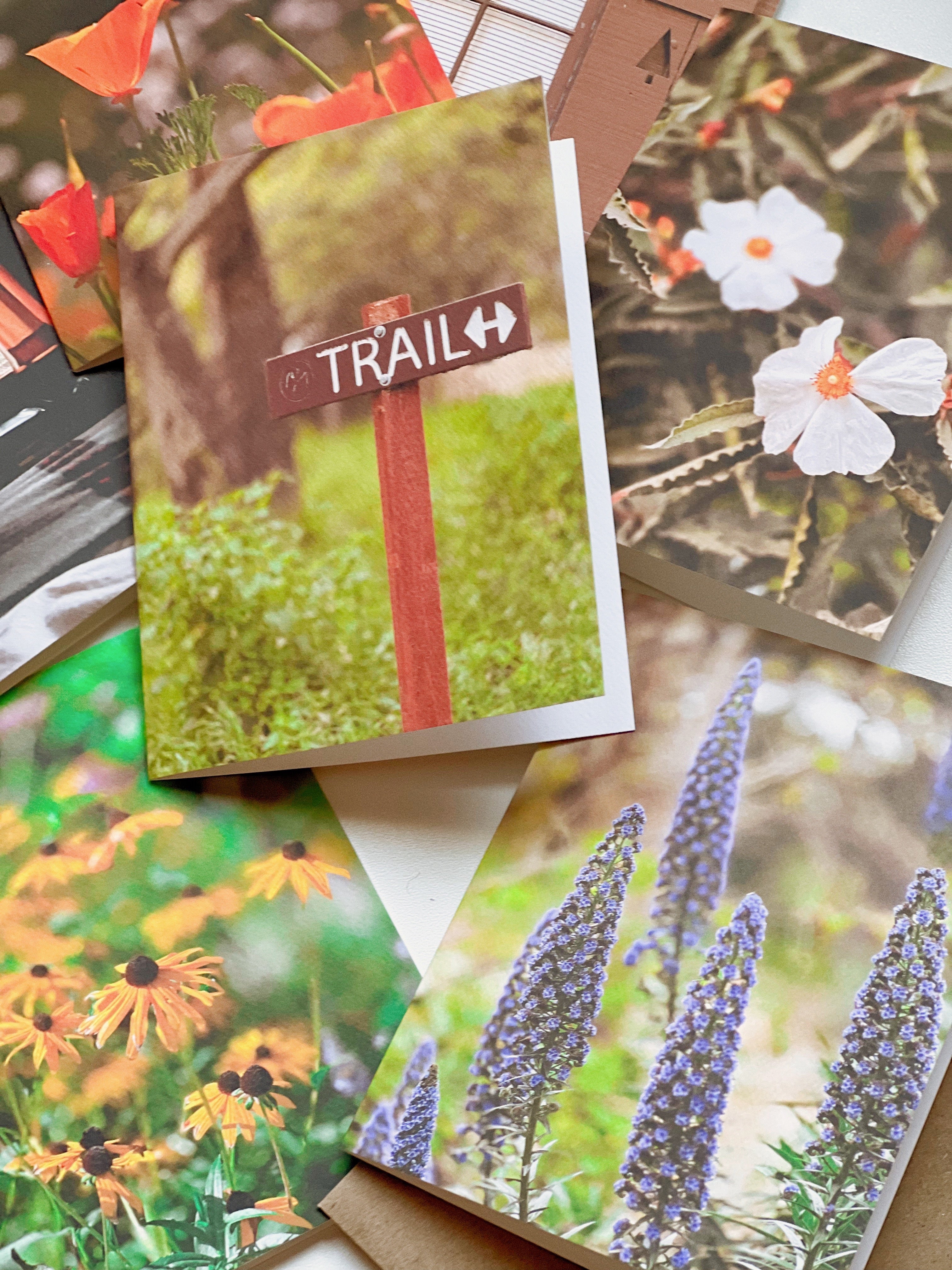 On the Trail, Greeting Card