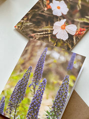 Montecito Purple, Greeting Card