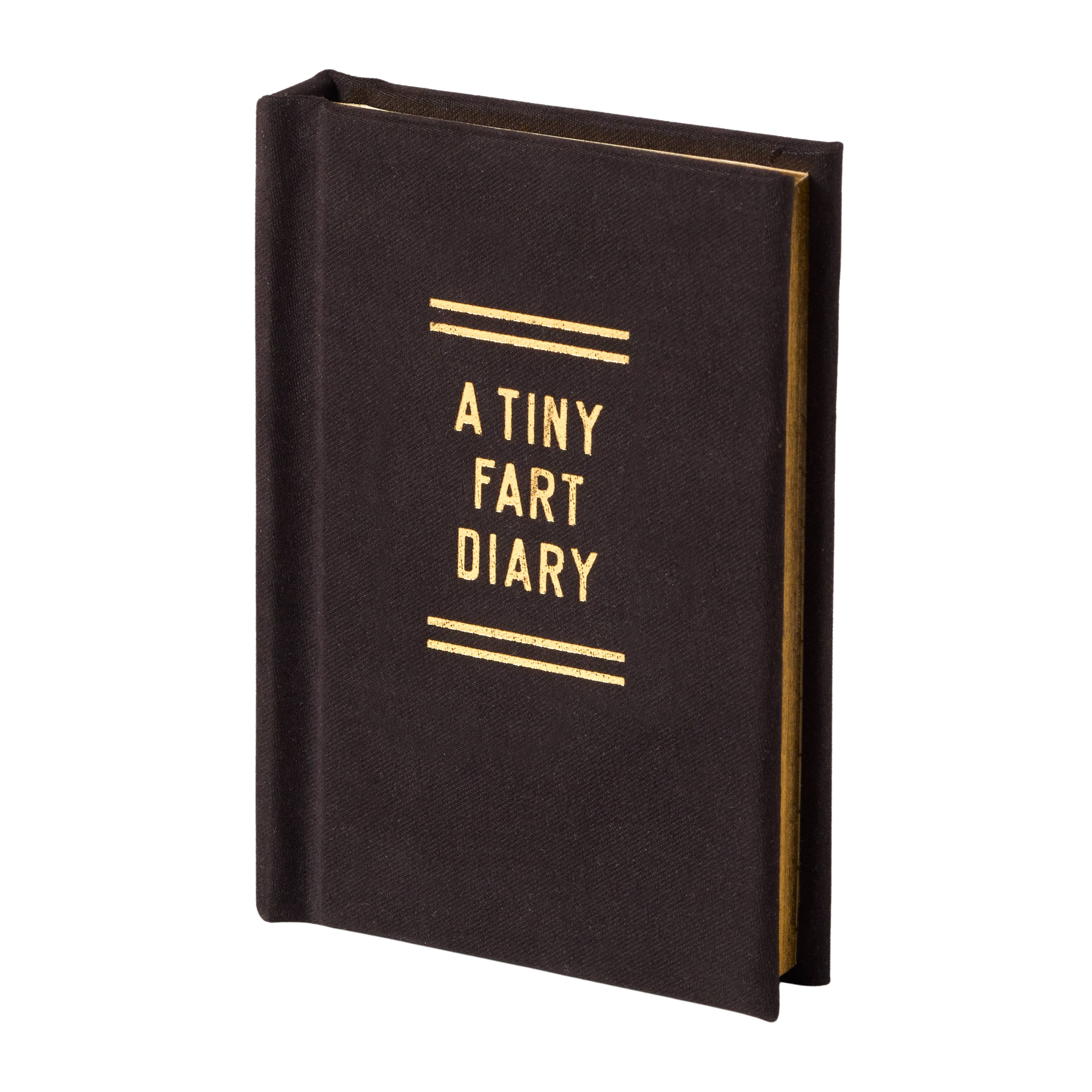 A Tiny Fart Diary