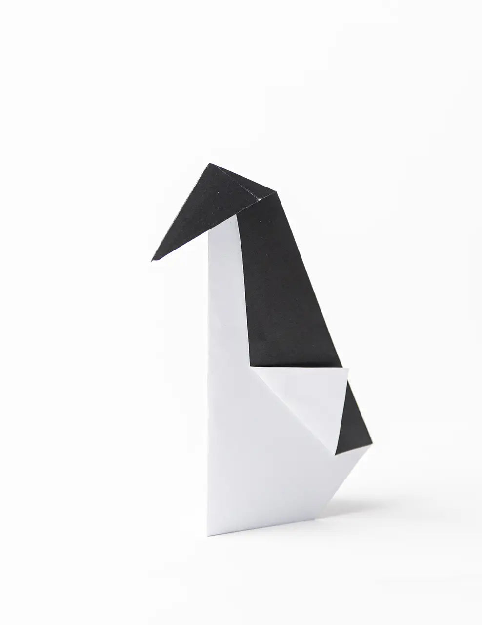Paper Magic Eco Friendly Kit