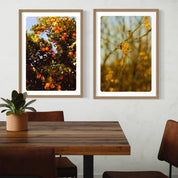 Rejoice in Orange, Fine Art Print