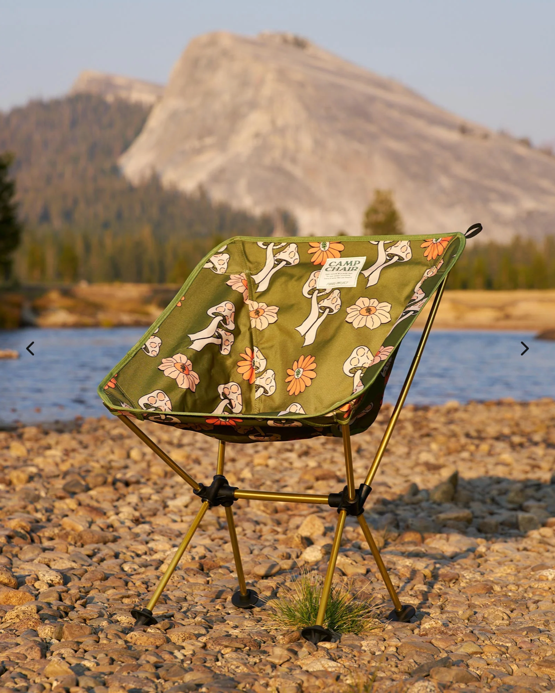 Shrooms Packable Camp Chair