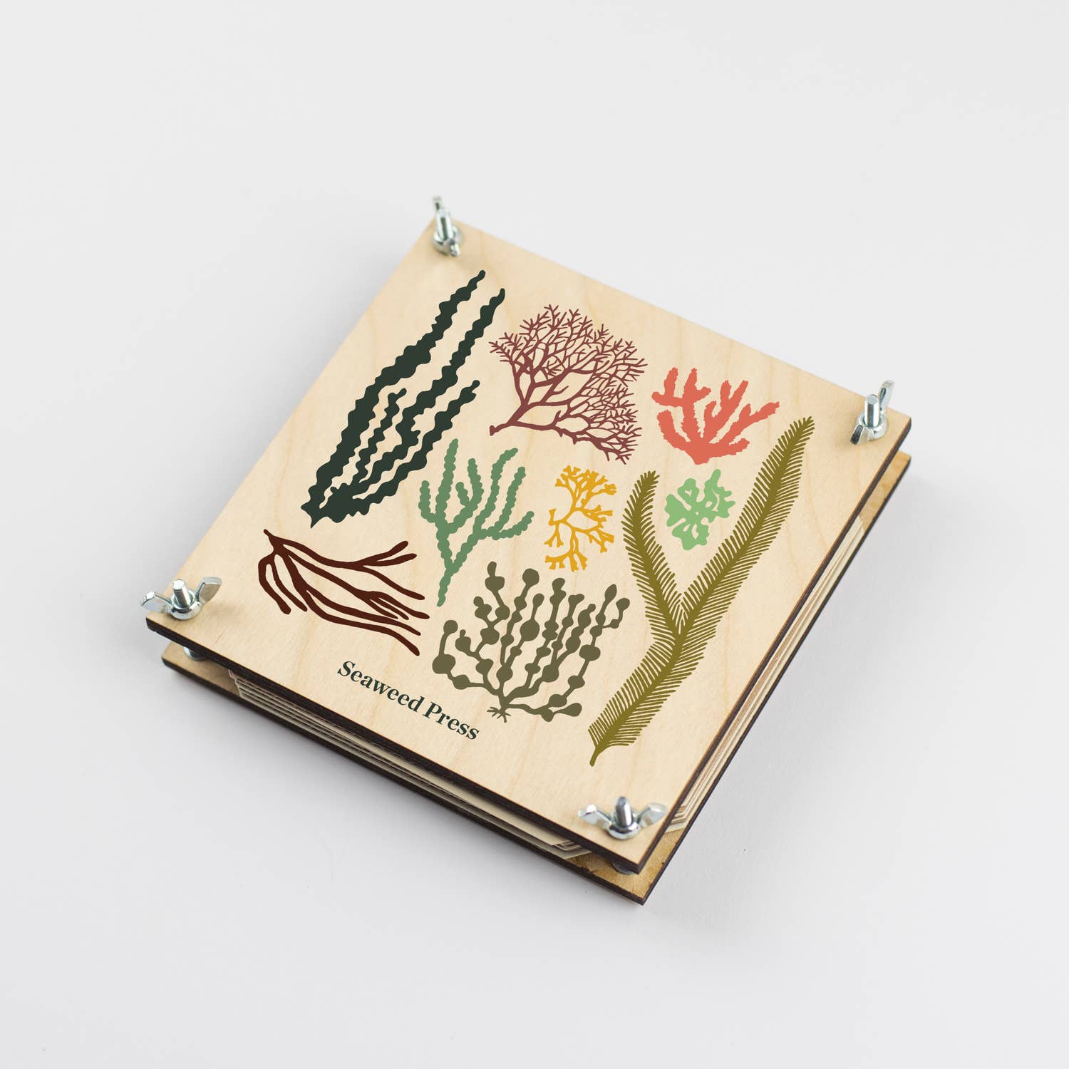 Seaweed Press - Craft Kit