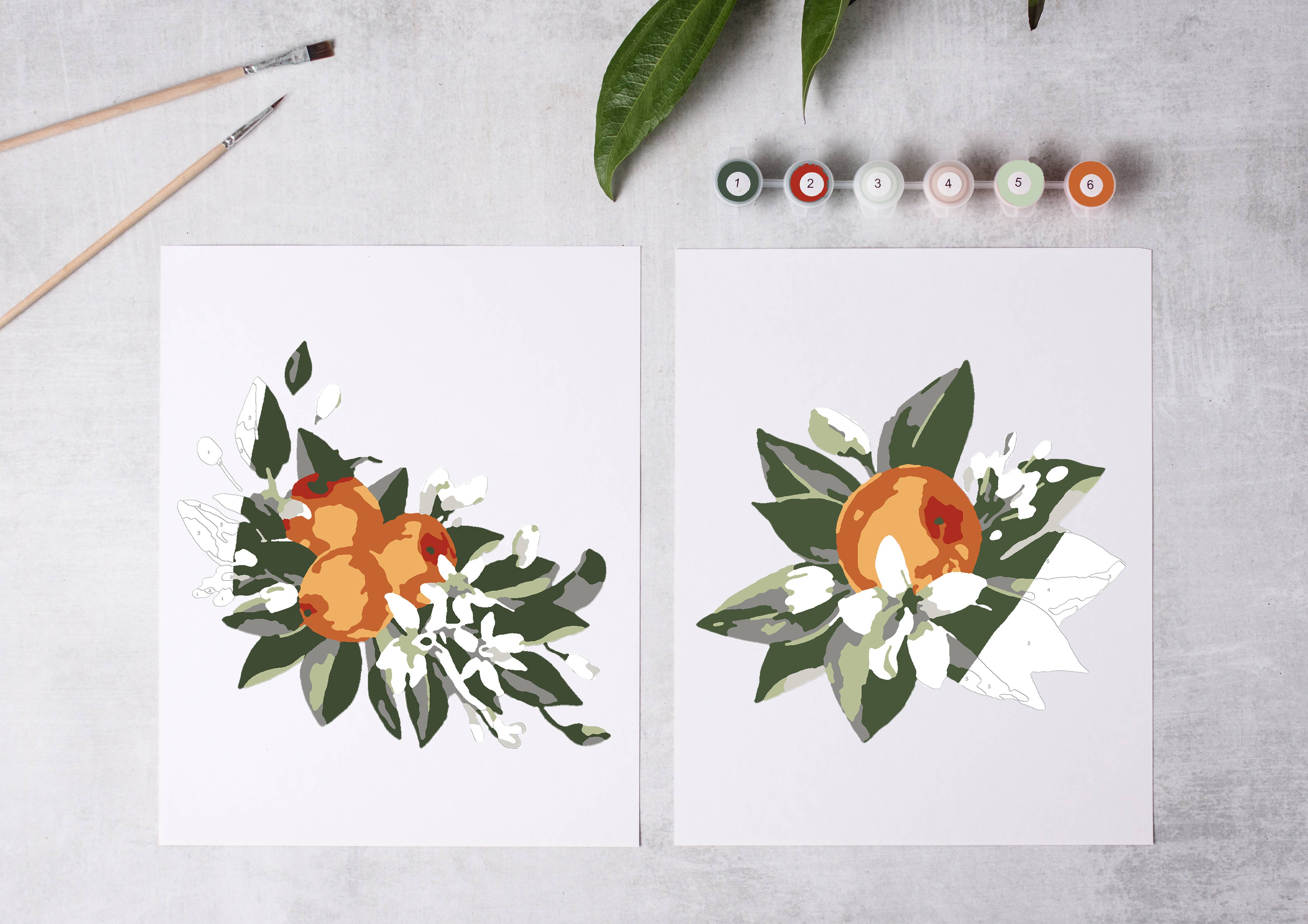 Orange Blossoms Paint-By-Numbers Kit