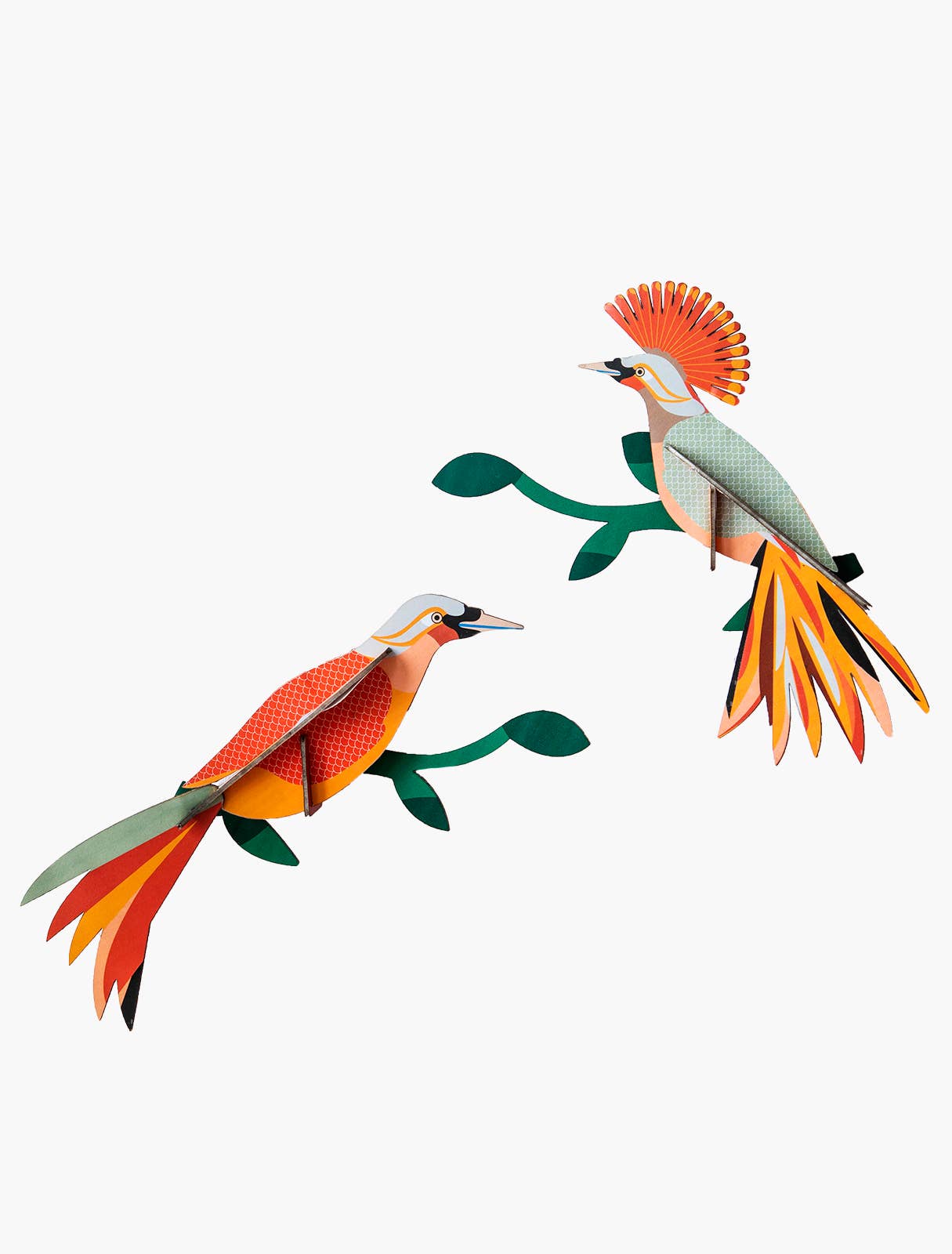 Obi Paradise Bird - 3D Paper Craft Kit