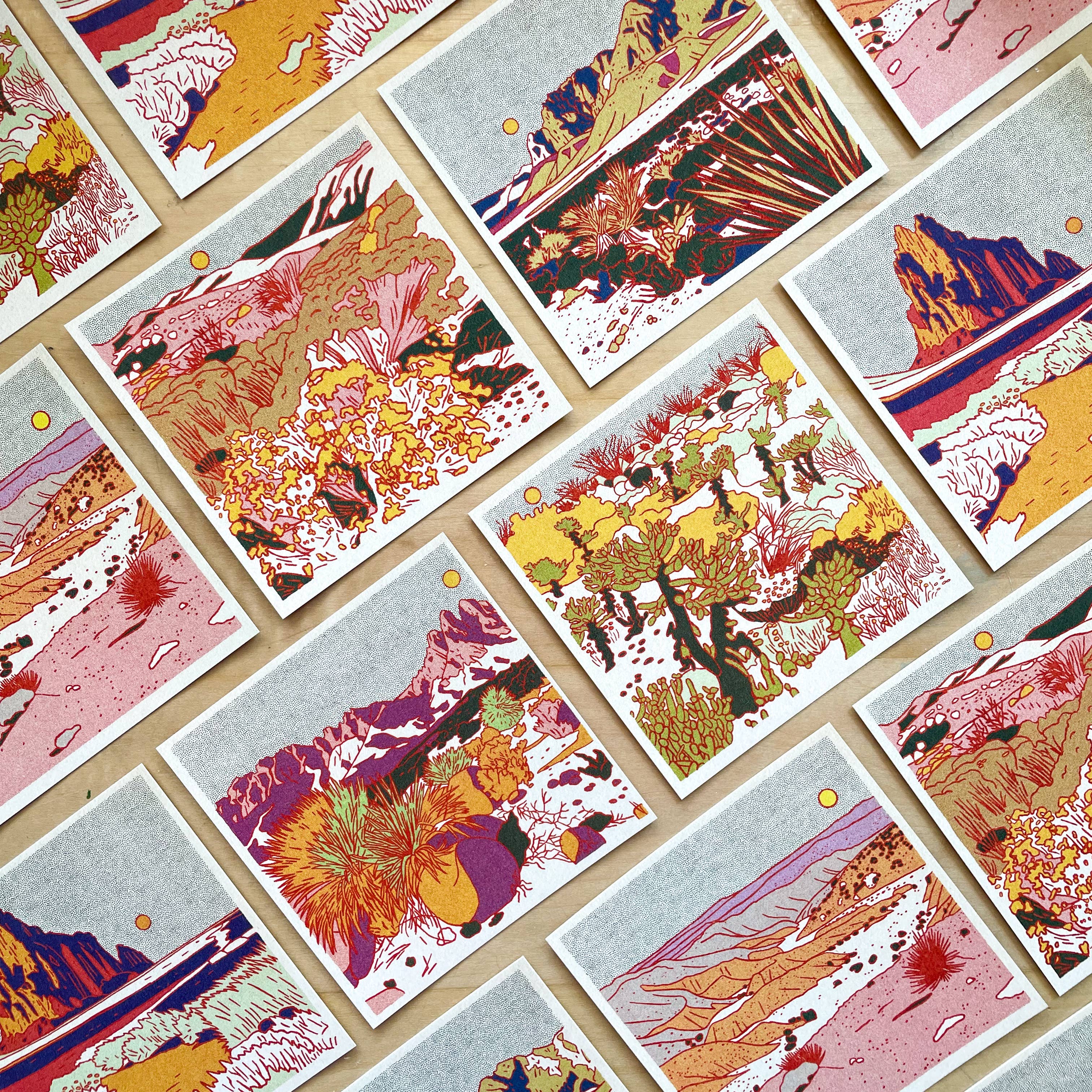 Morning Desert Postcard Set by Caroline Clark