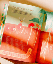 I Ate Sunshine for Breakfast