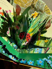 Beautiful Bugs | Nature Pop-Ups