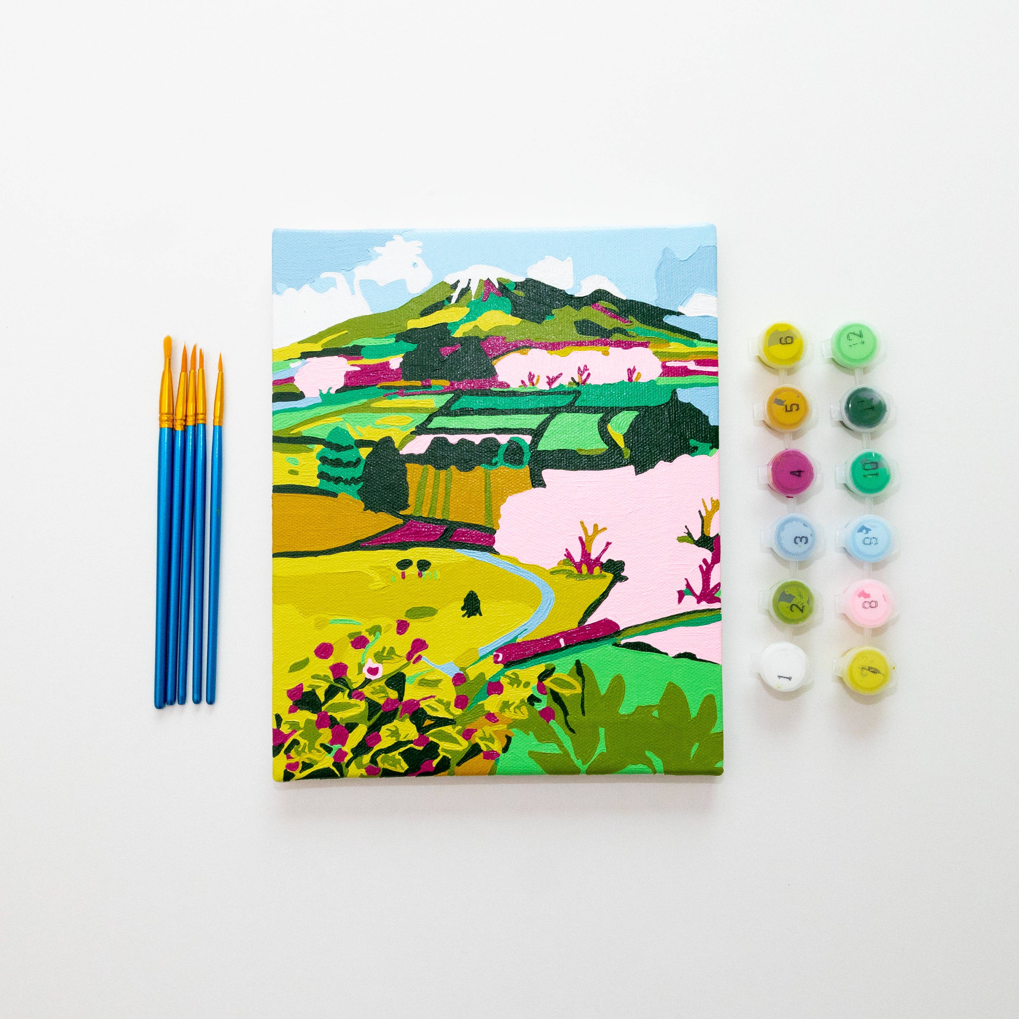 Japanese Countryside 8x10 Paint by Numbers Framed Mini