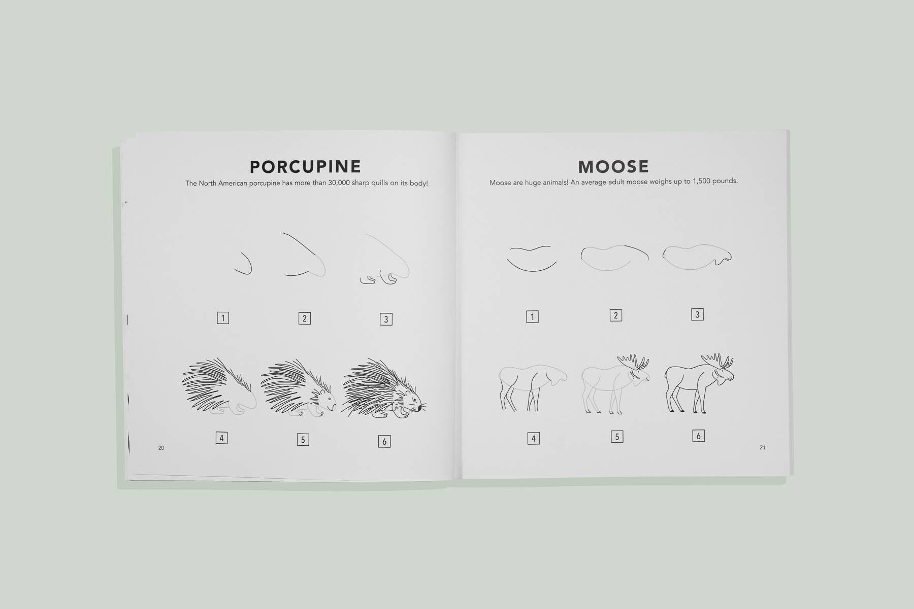 Woodland Creatures | How To Draw, For Kids