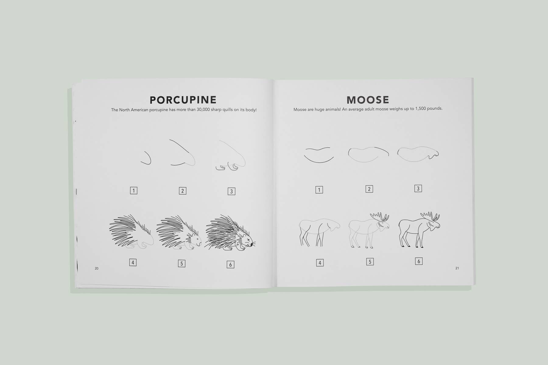 How To Draw WOODLAND CREATURES for Kids