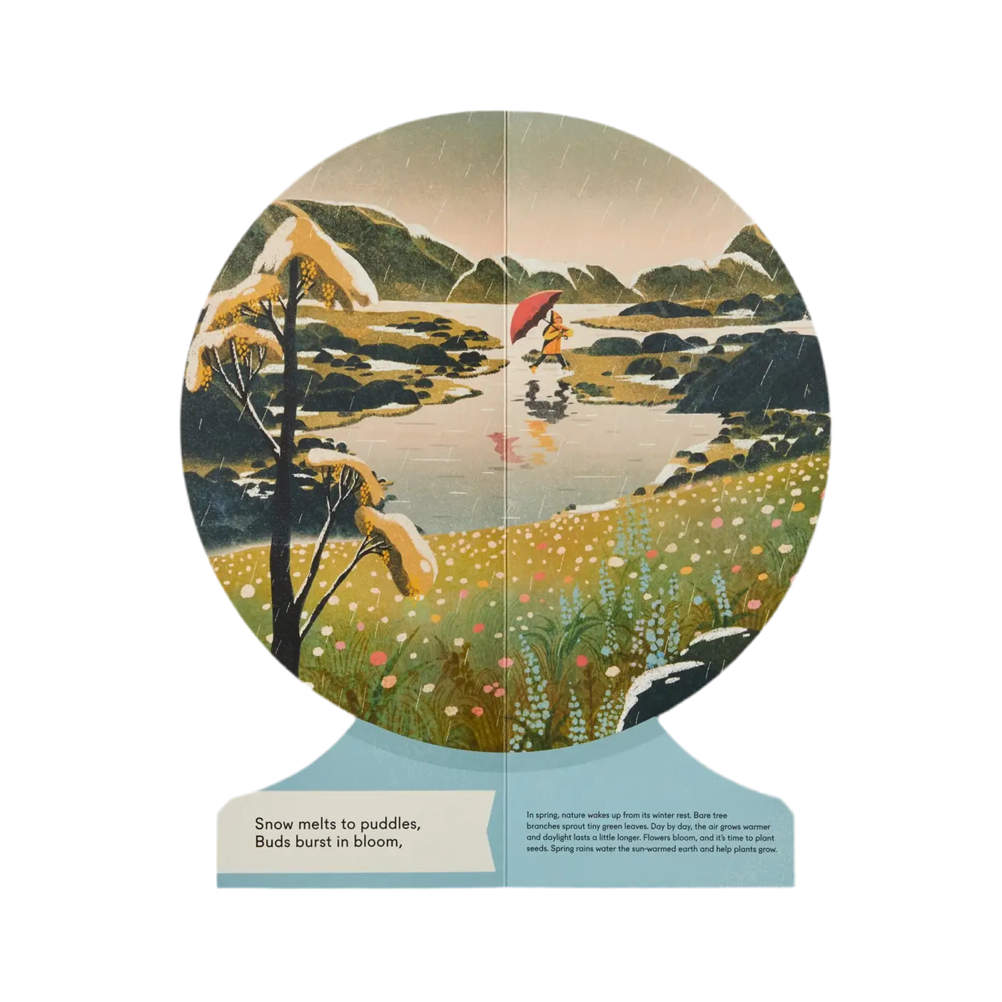 Our Seasons: The World In Winter, Spring, Summer, And Autumn