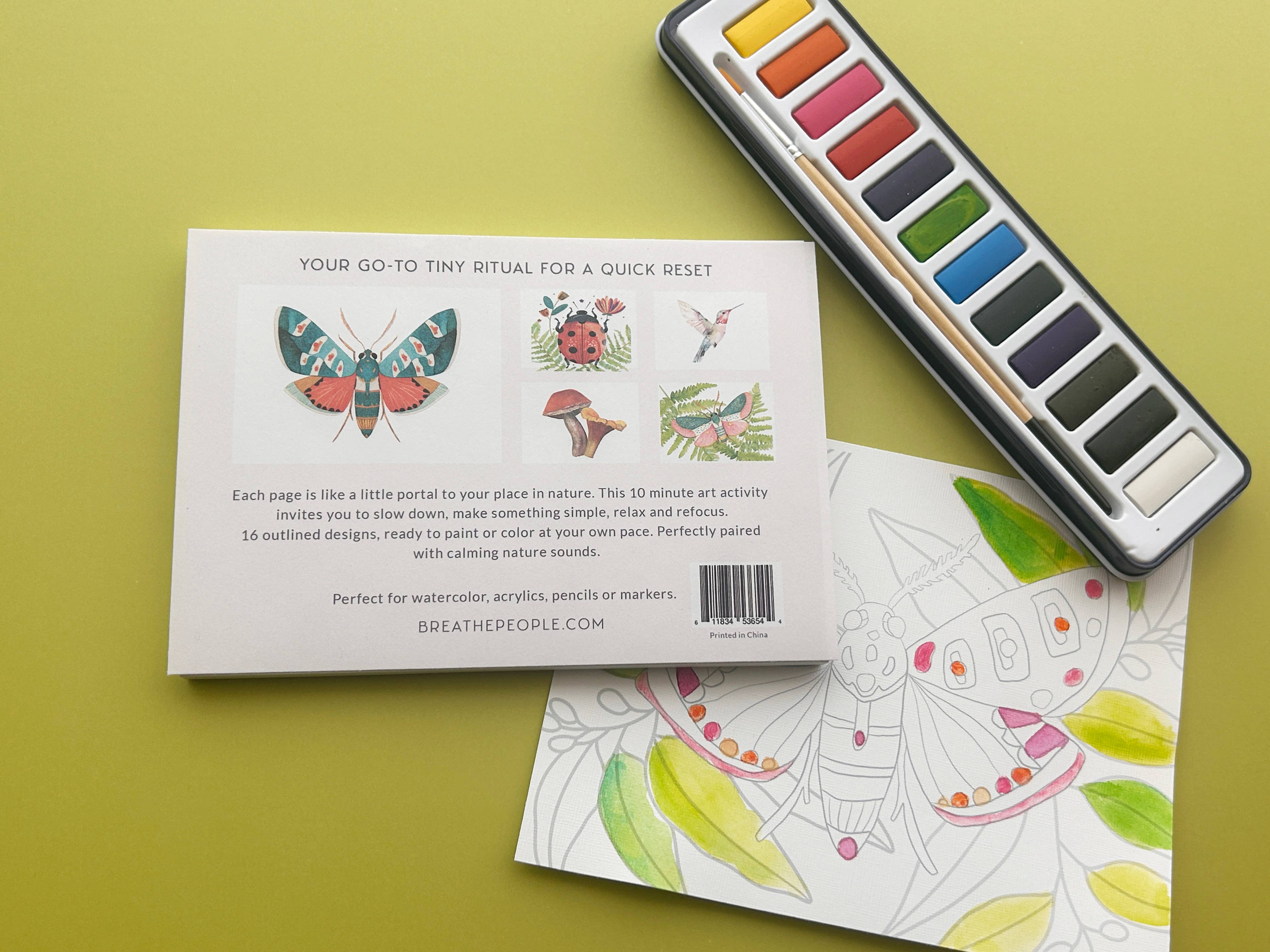Nature Wonders | 10 Minute Creative Escape Art Book