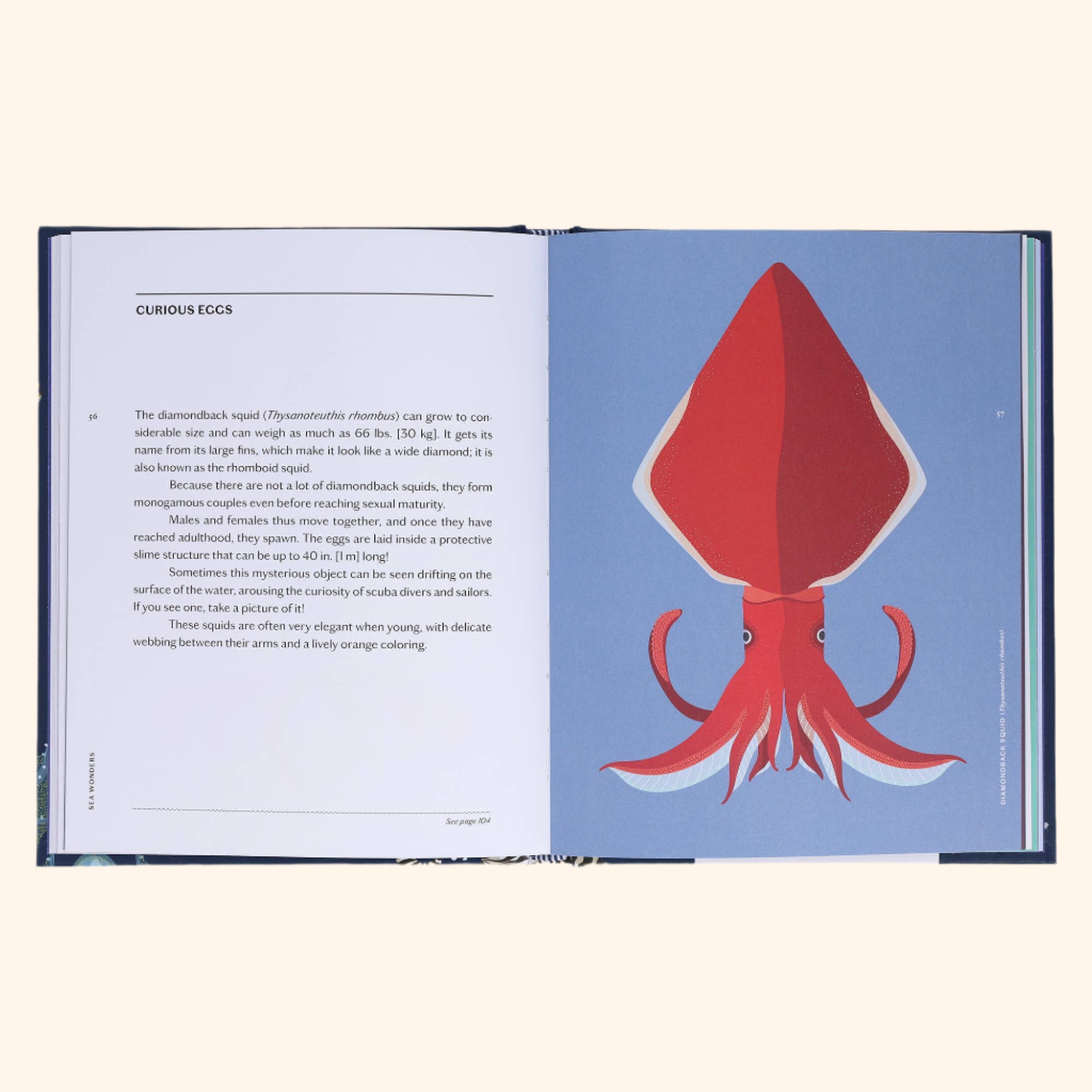 Sea Wonders