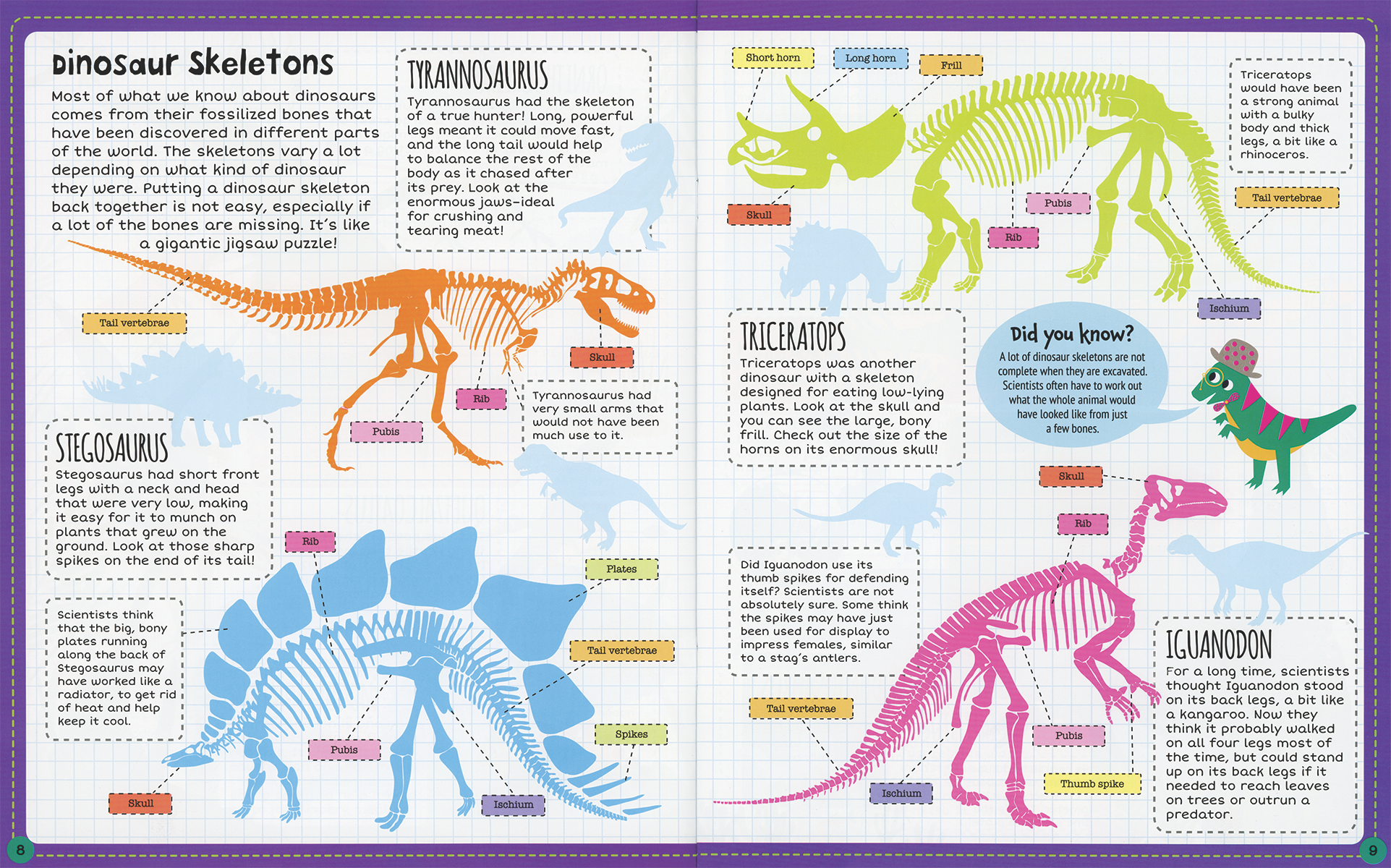 Dinosaur Sticker Facts