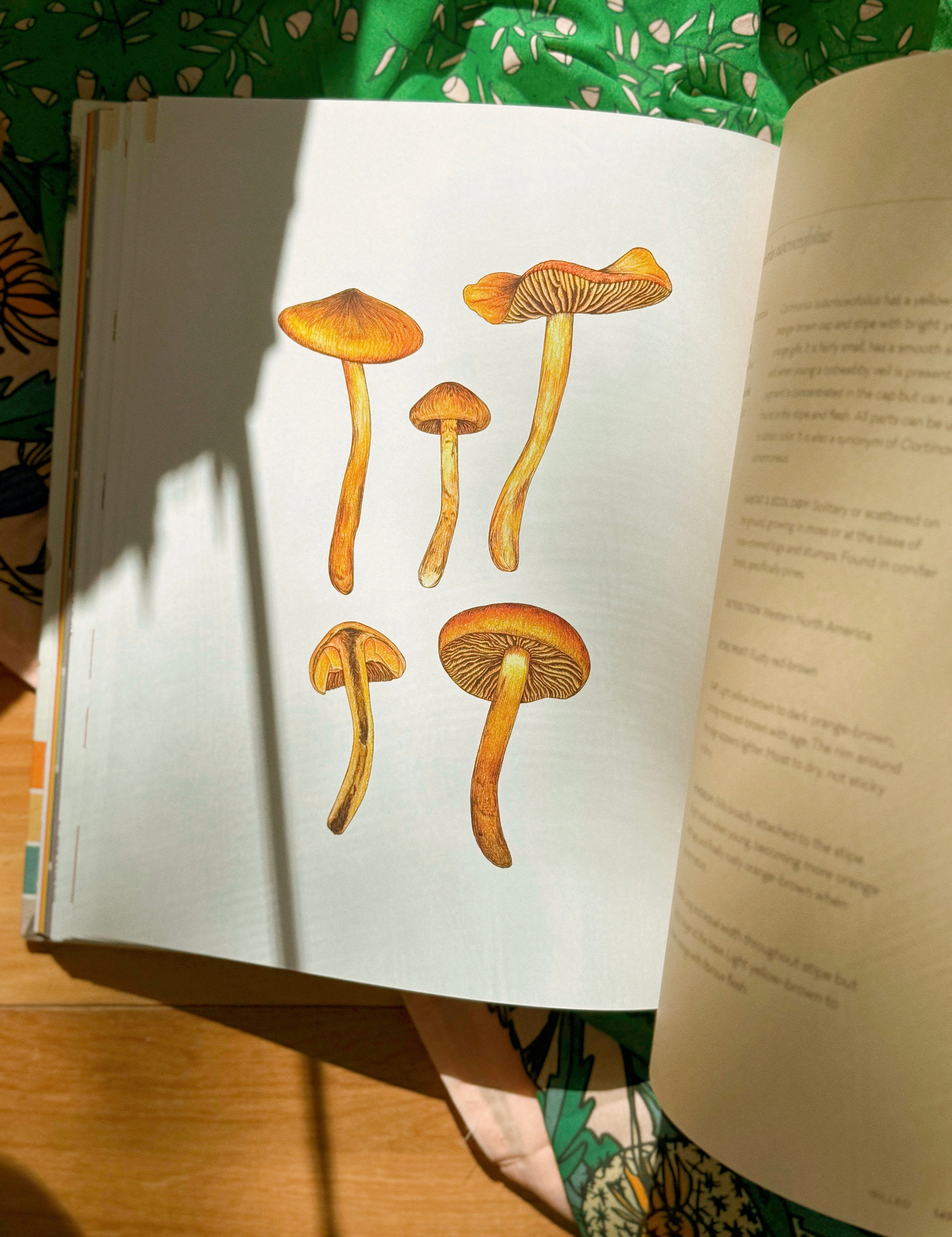 Mushroom Color Atlas