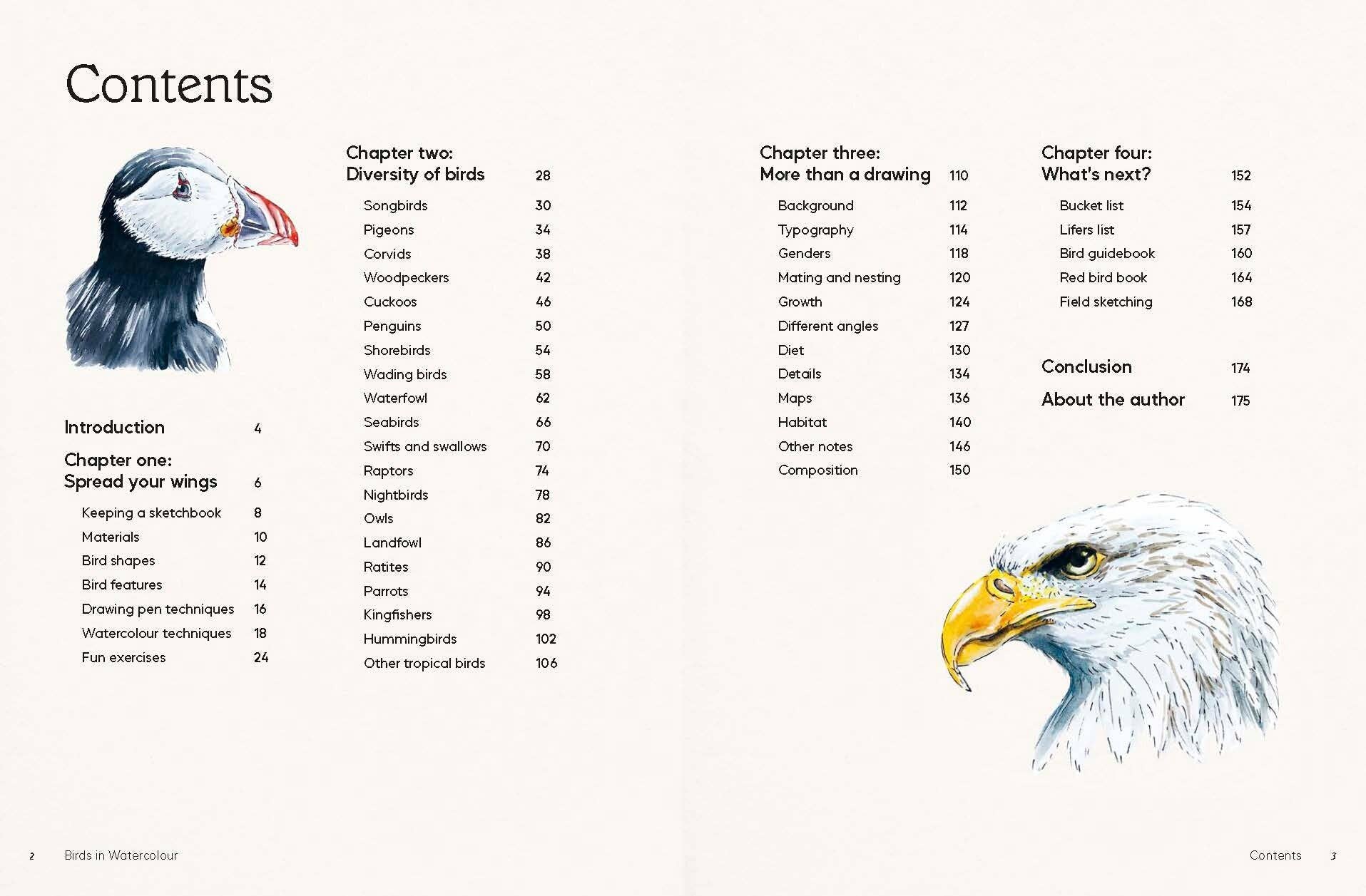 Birds in Watercolour - A Beginner's Guide