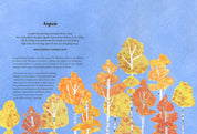 Tree Lore