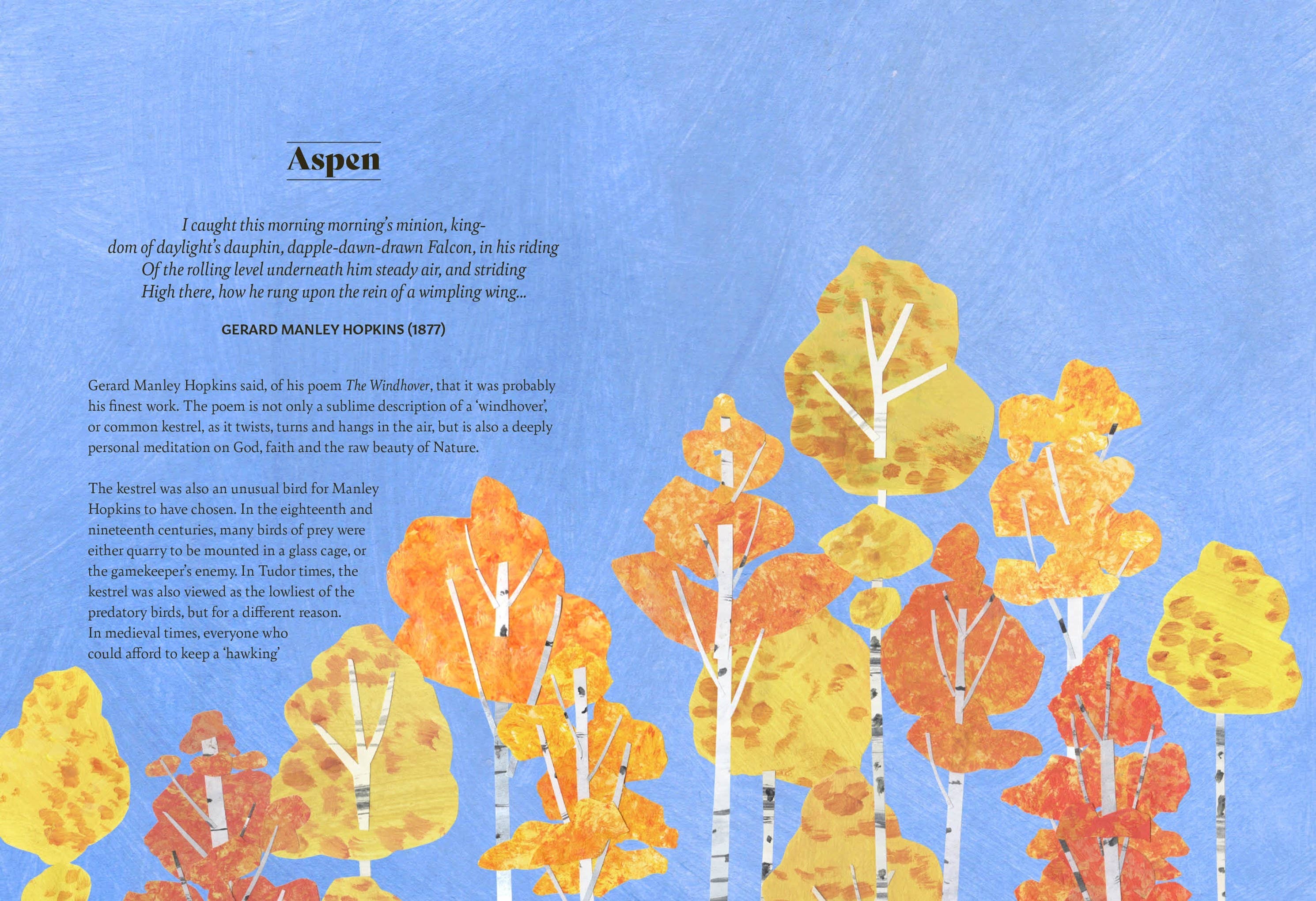 Tree Lore