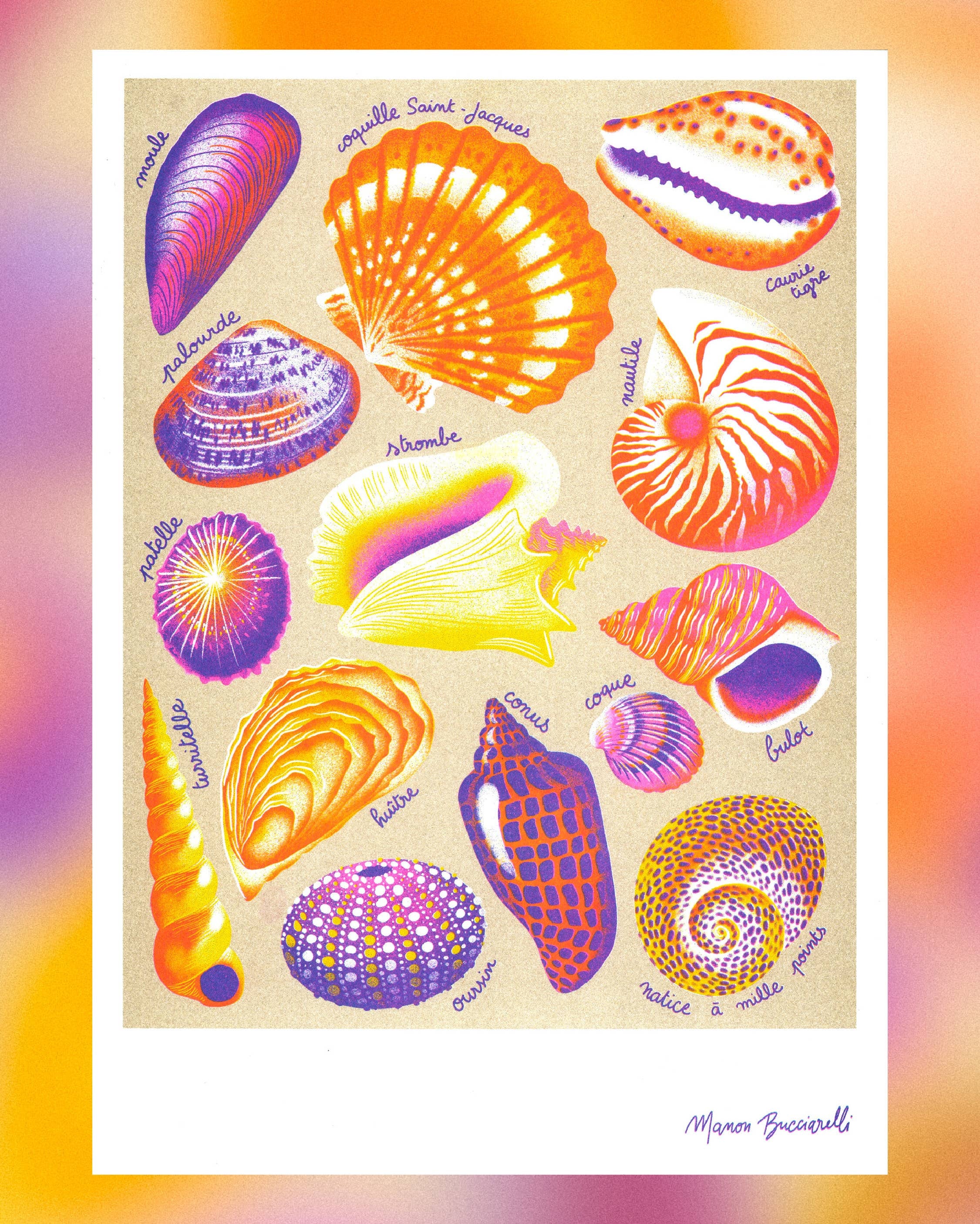 Shells A3 Poster - Manon Bucciarelli