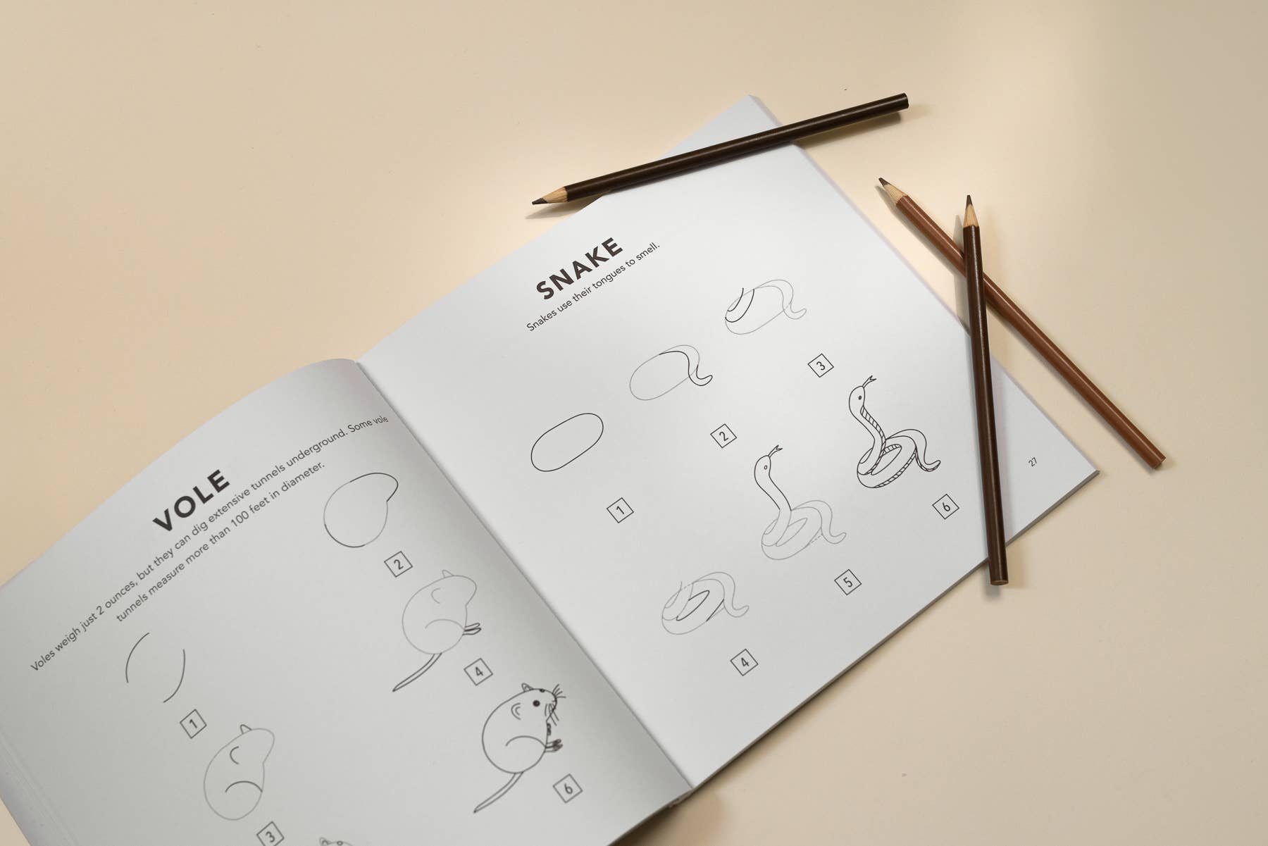 Woodland Creatures | How To Draw, For Kids