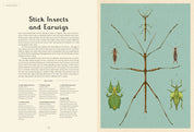 Insectarium