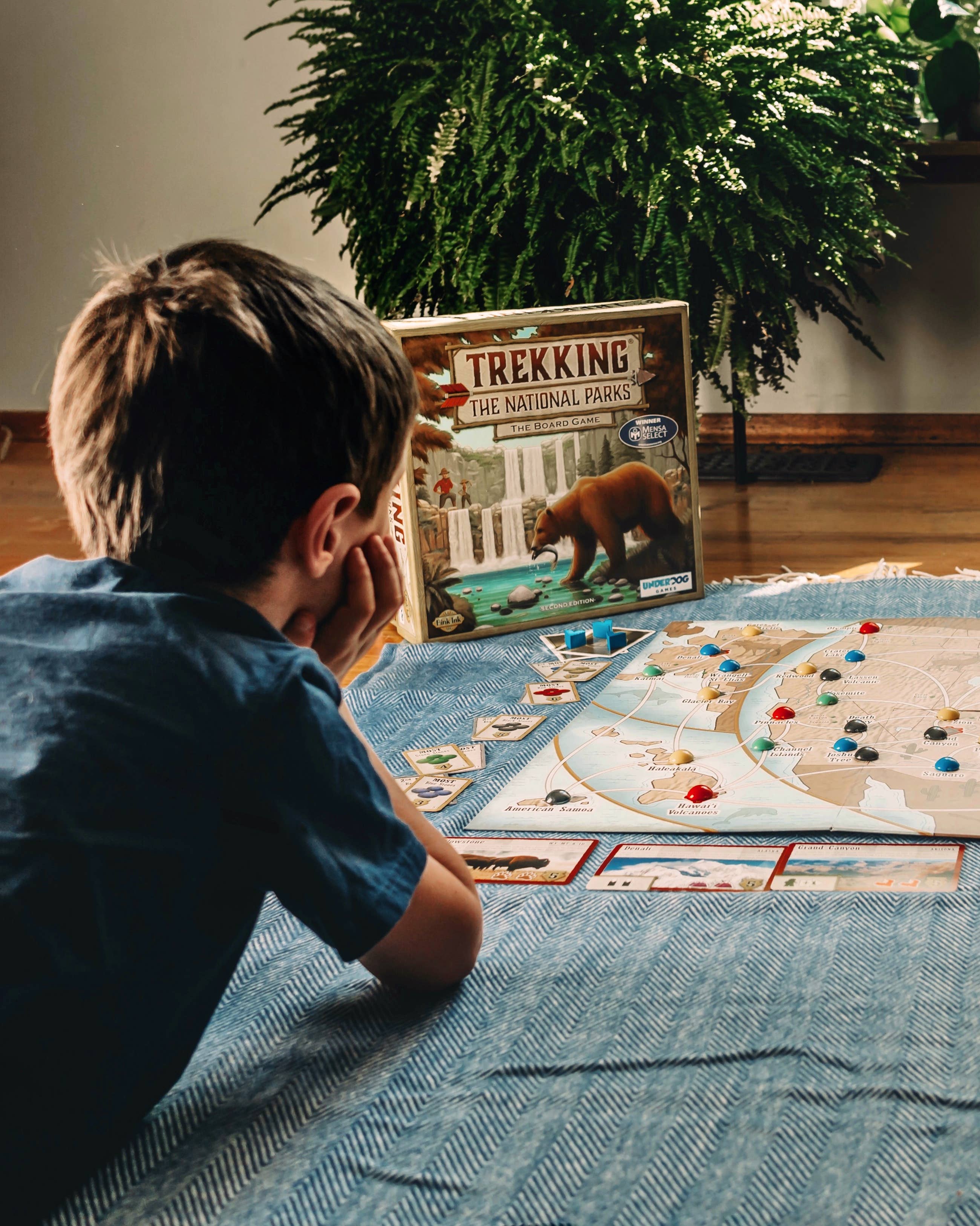 National Parks Trekking Game