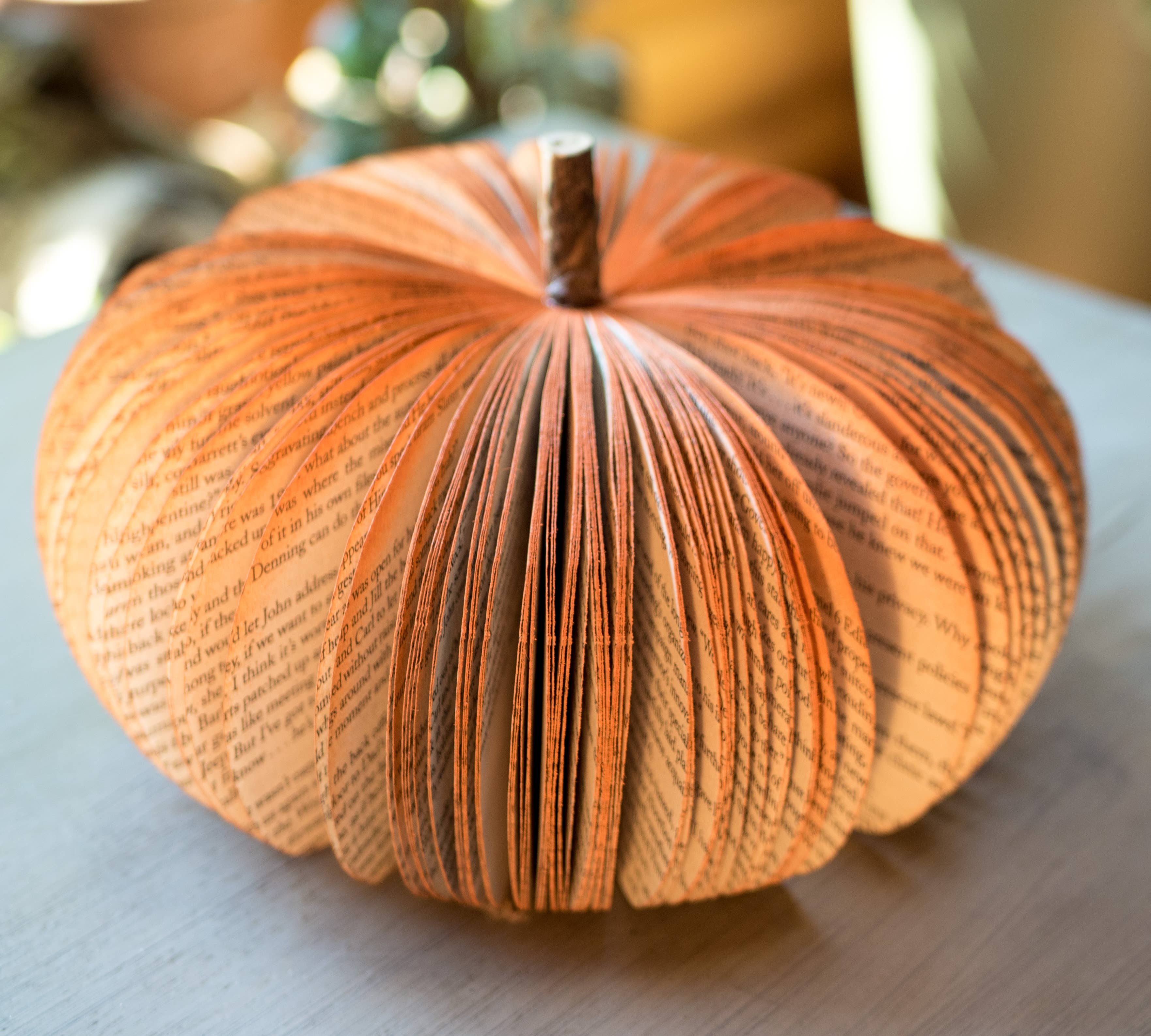 Book Pumpkin - Rustic Orange