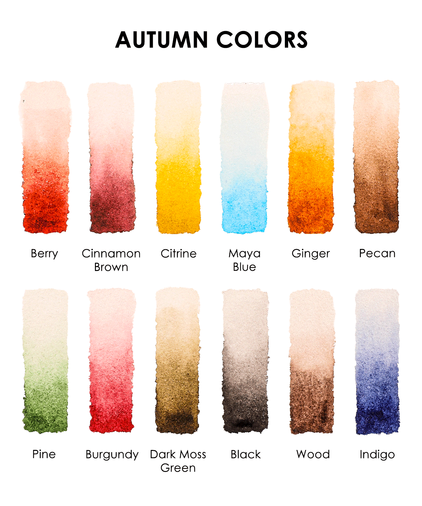 Watercolor | Pocket Set Of 12 With Brush