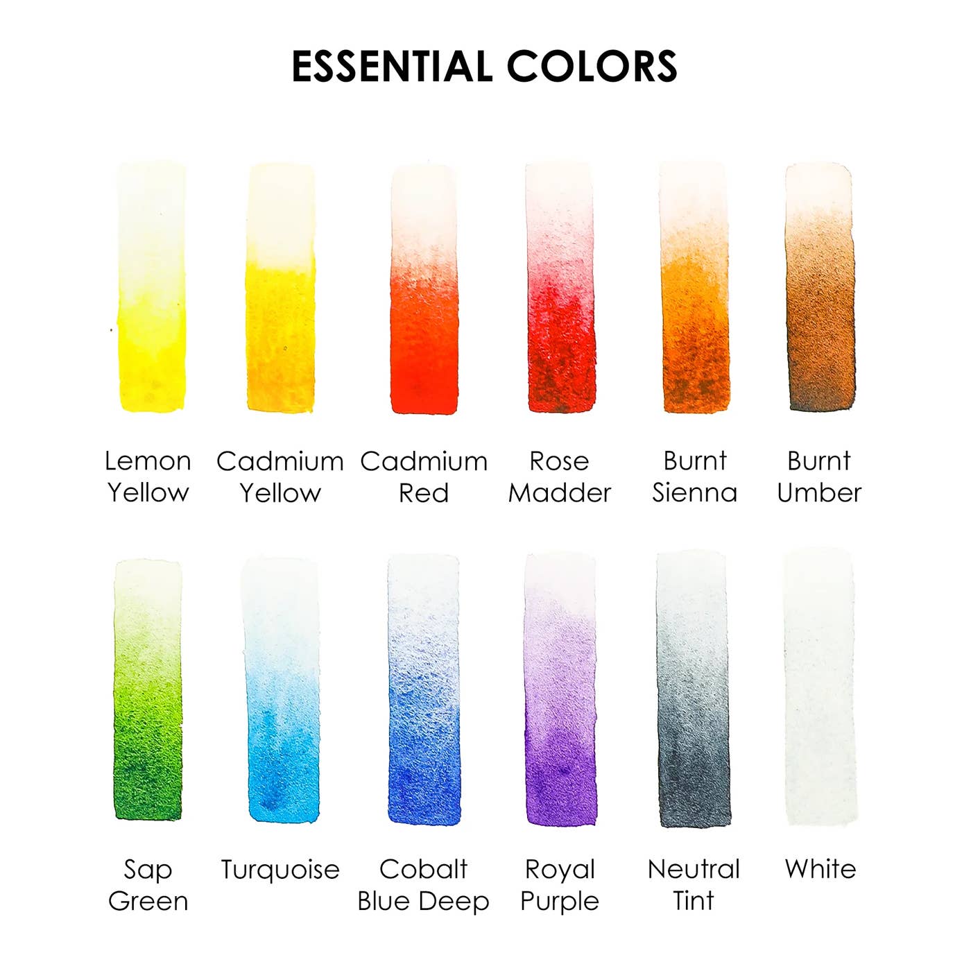 Essential Colors | Watercolor, Pocket Set Of 12 With Brush