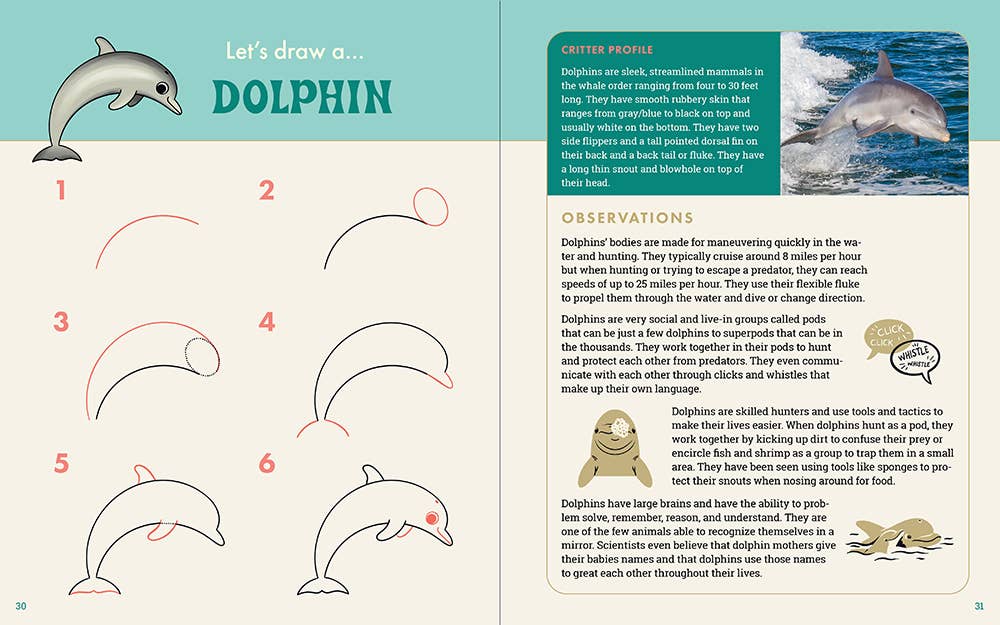 The Ocean Explorer's Drawing Guide For Kids