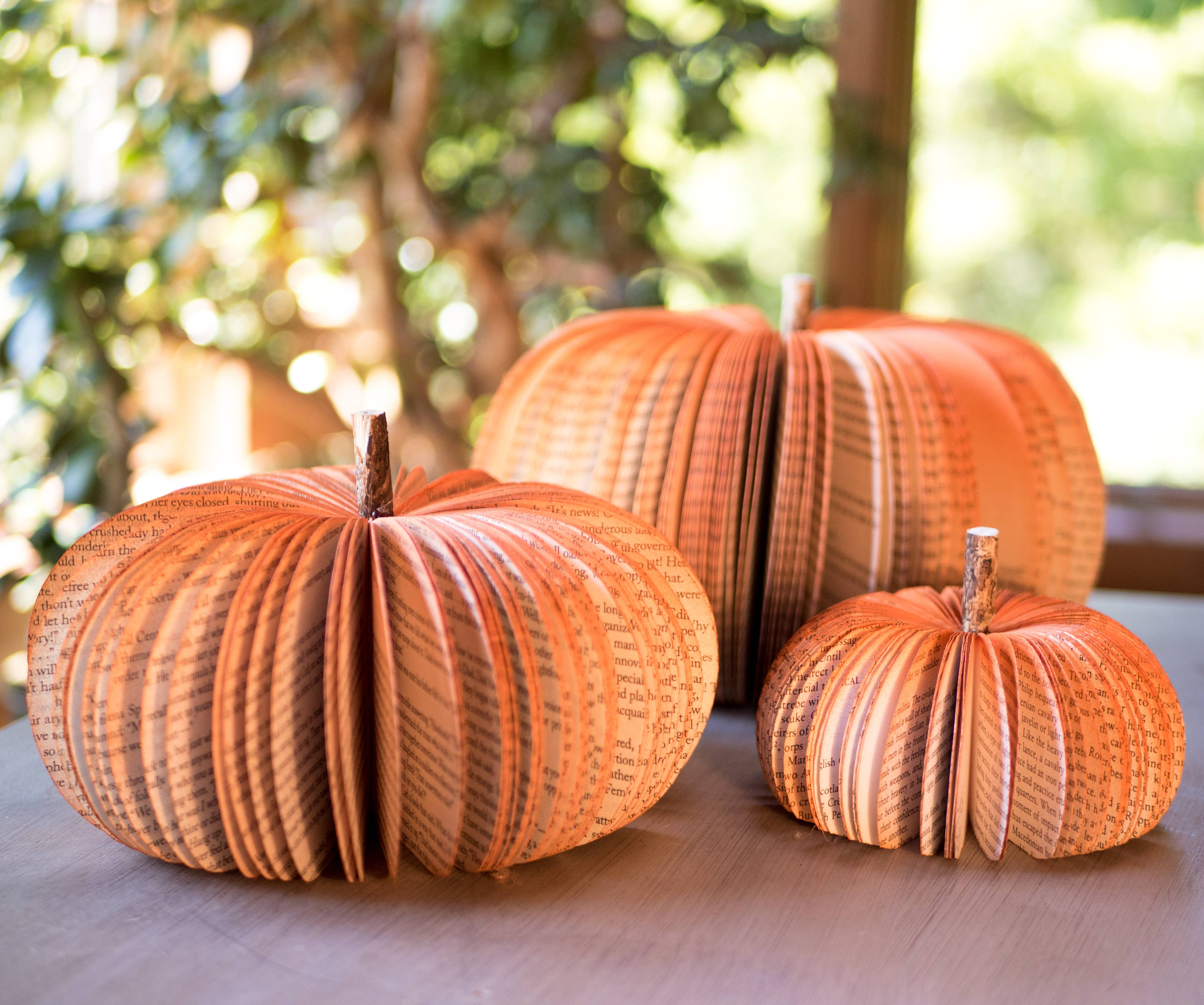 Book Pumpkin - Rustic Orange