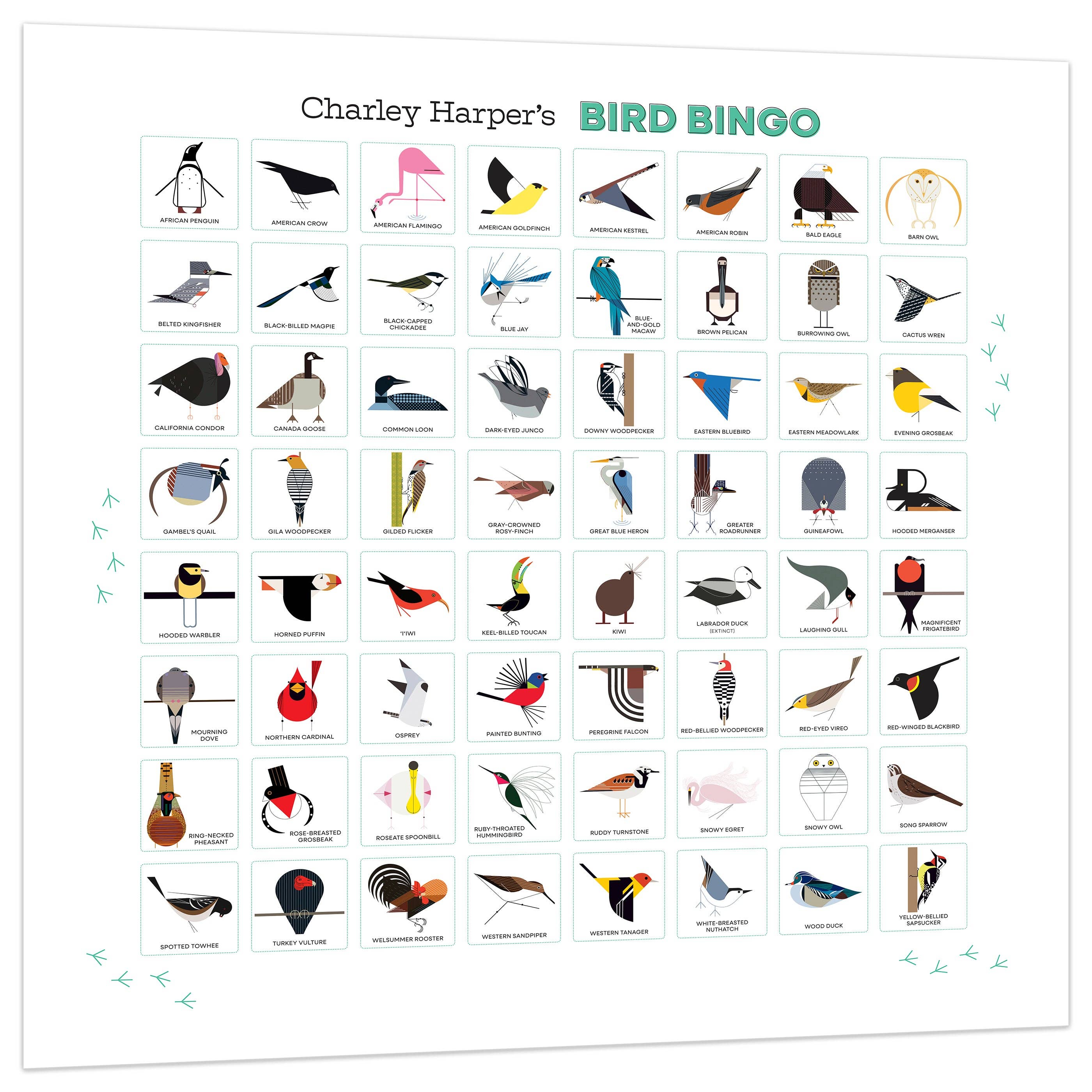 Bird Bingo Game