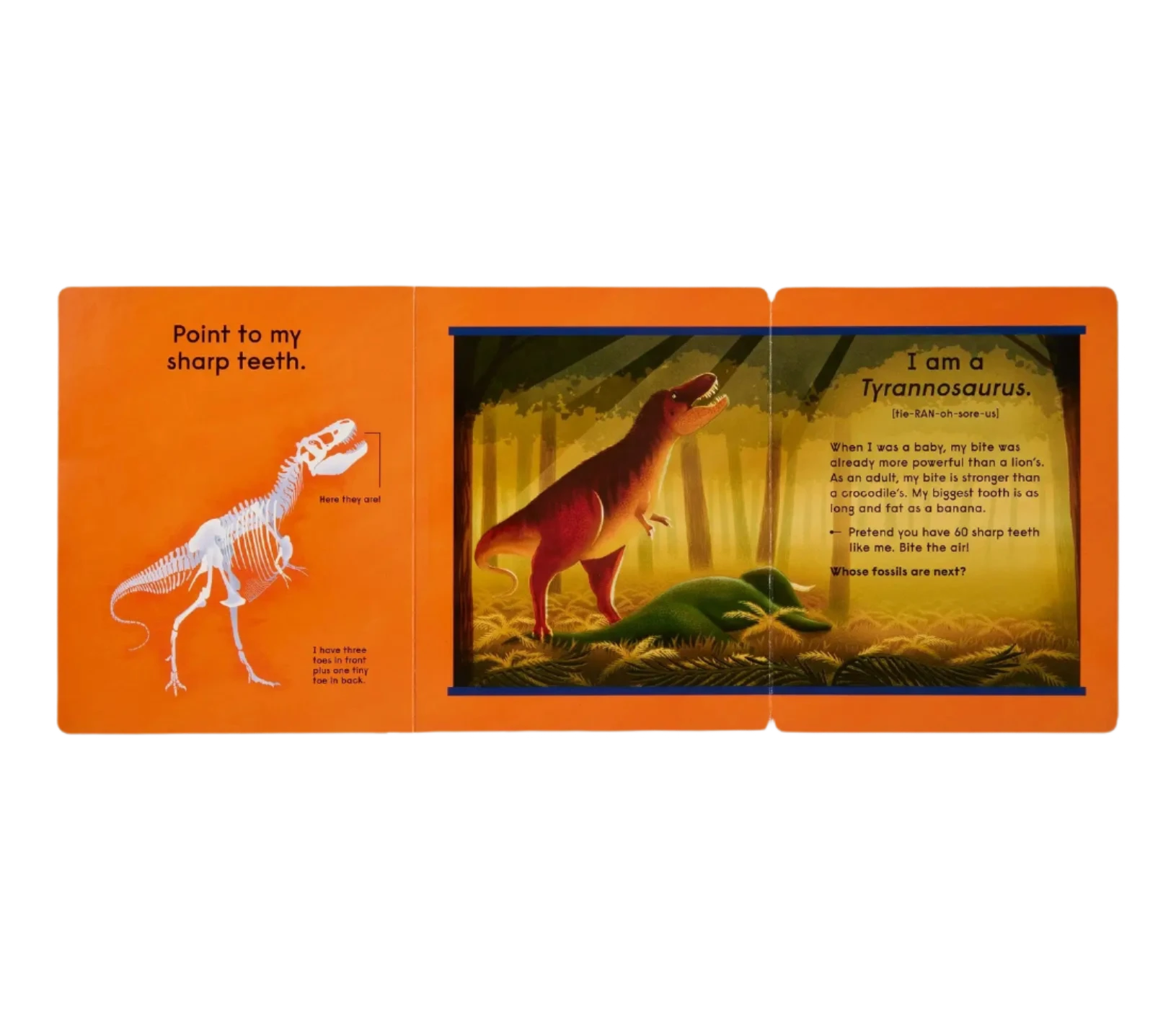 Who's That Dinosaur?