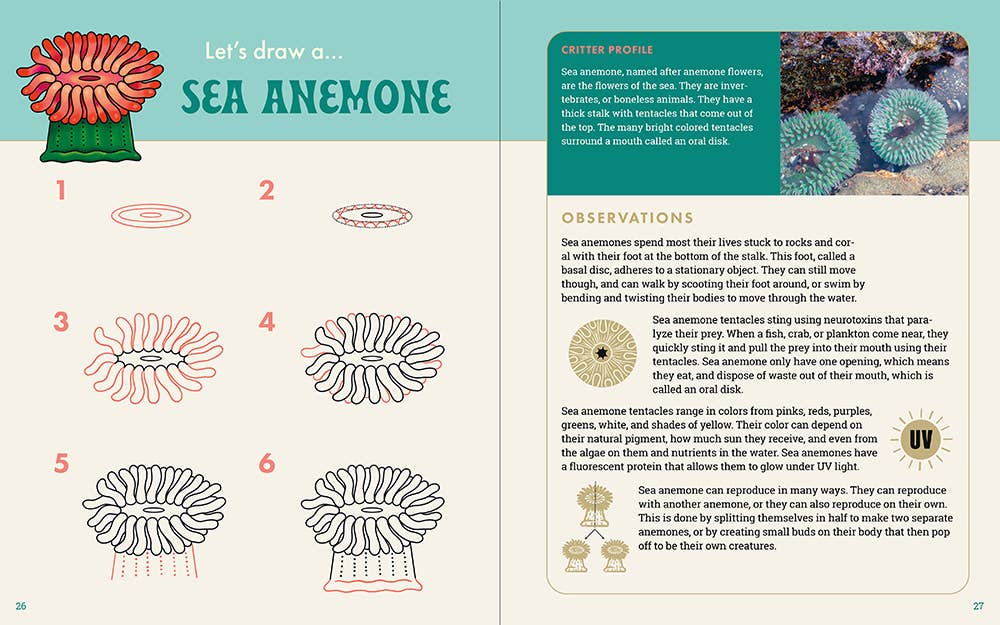 The Ocean Explorer's Drawing Guide For Kids