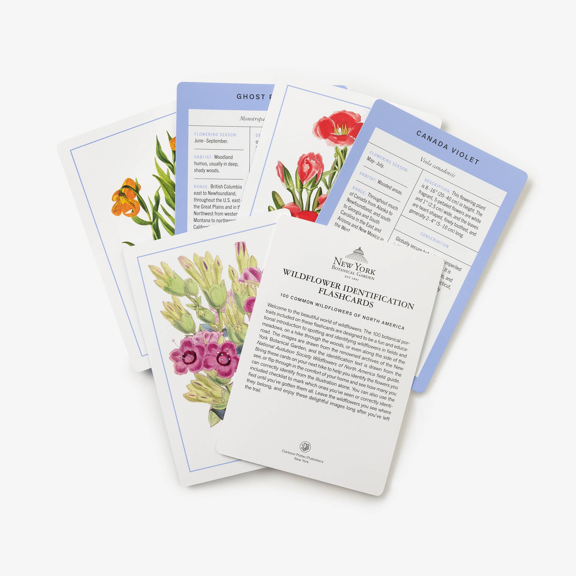 New York Botanical Garden Wildflower ID Flashcards