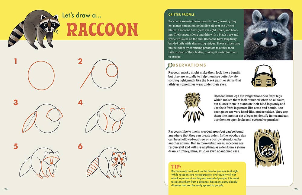 The Nature Explorer's Drawing Guide For Kids