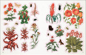 Botanist's Sticker Anthology